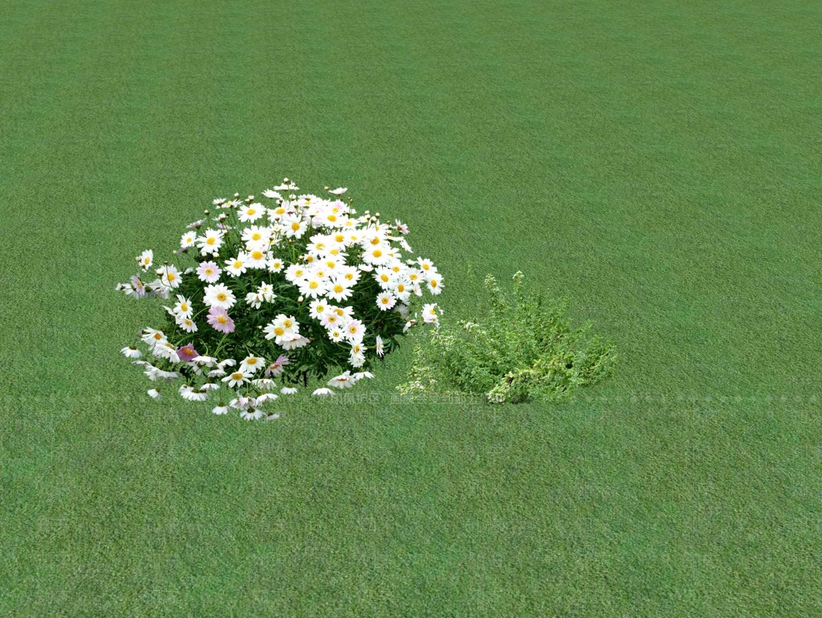 花草SU模型下载【ID:1201554377】