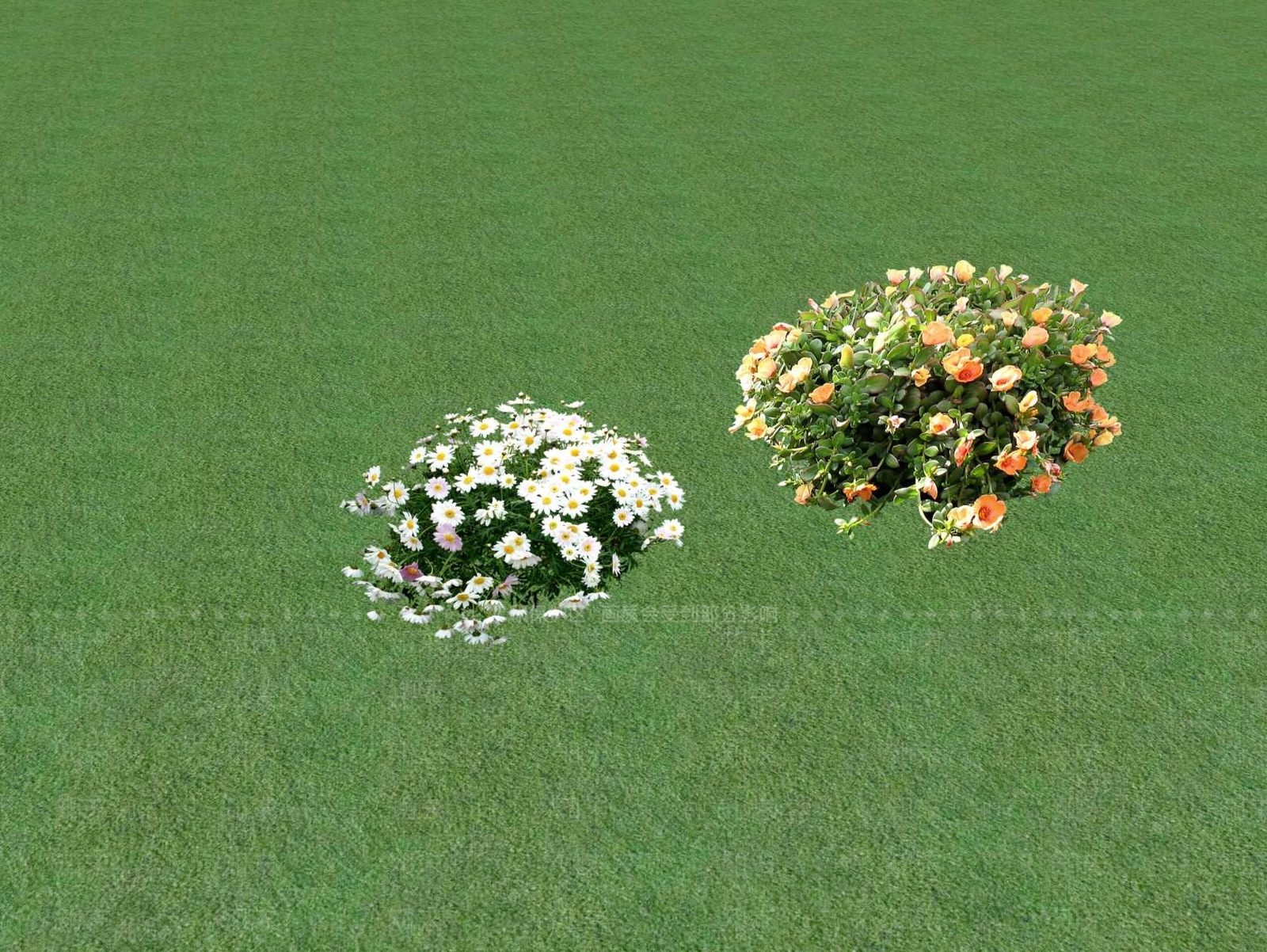 花草SU模型下载【ID:1201554400】