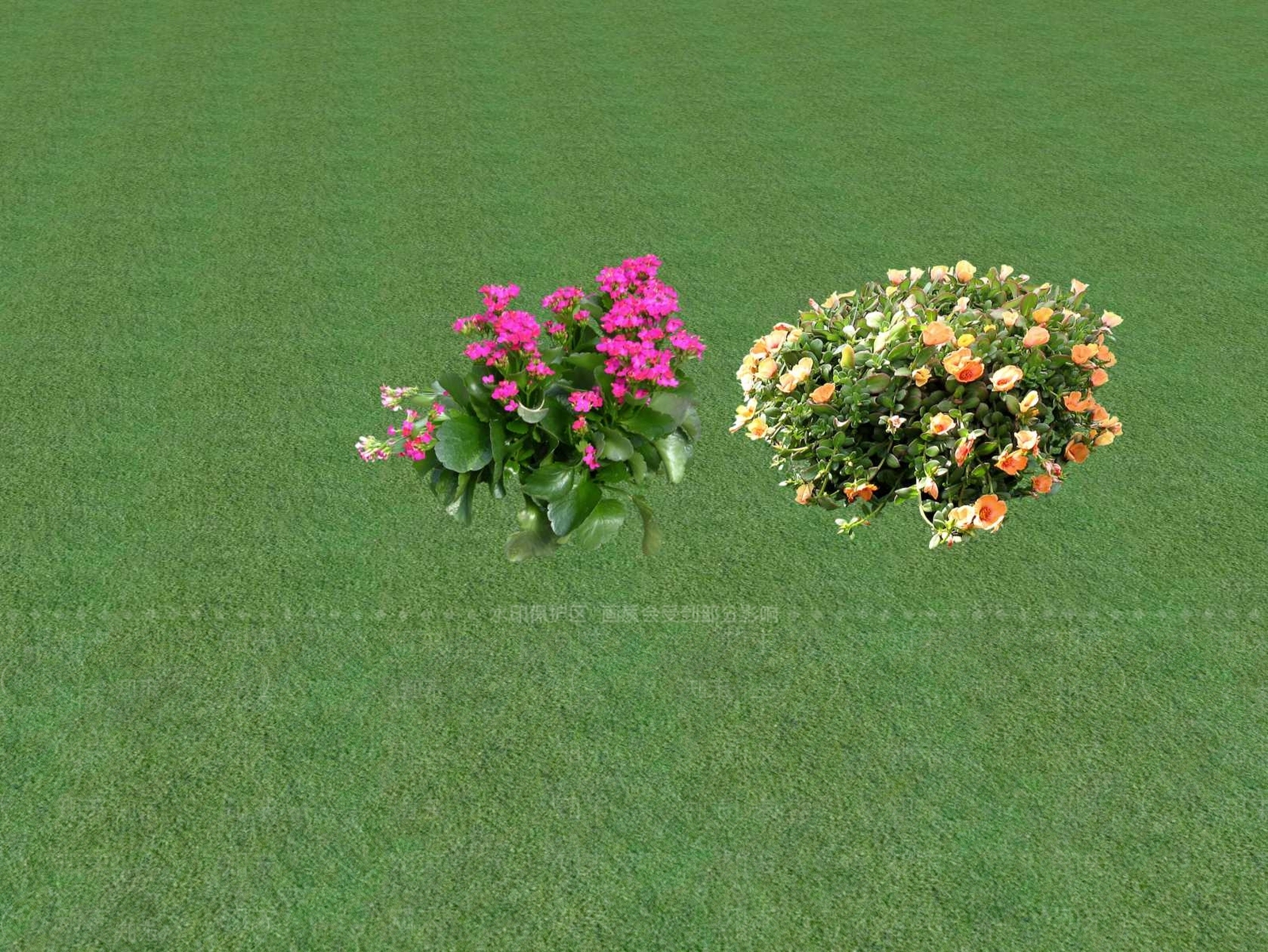 花草SU模型下载【ID:1201554473】