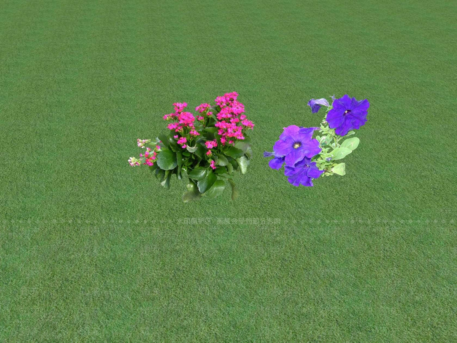 花草SU模型下载【ID:1201554496】
