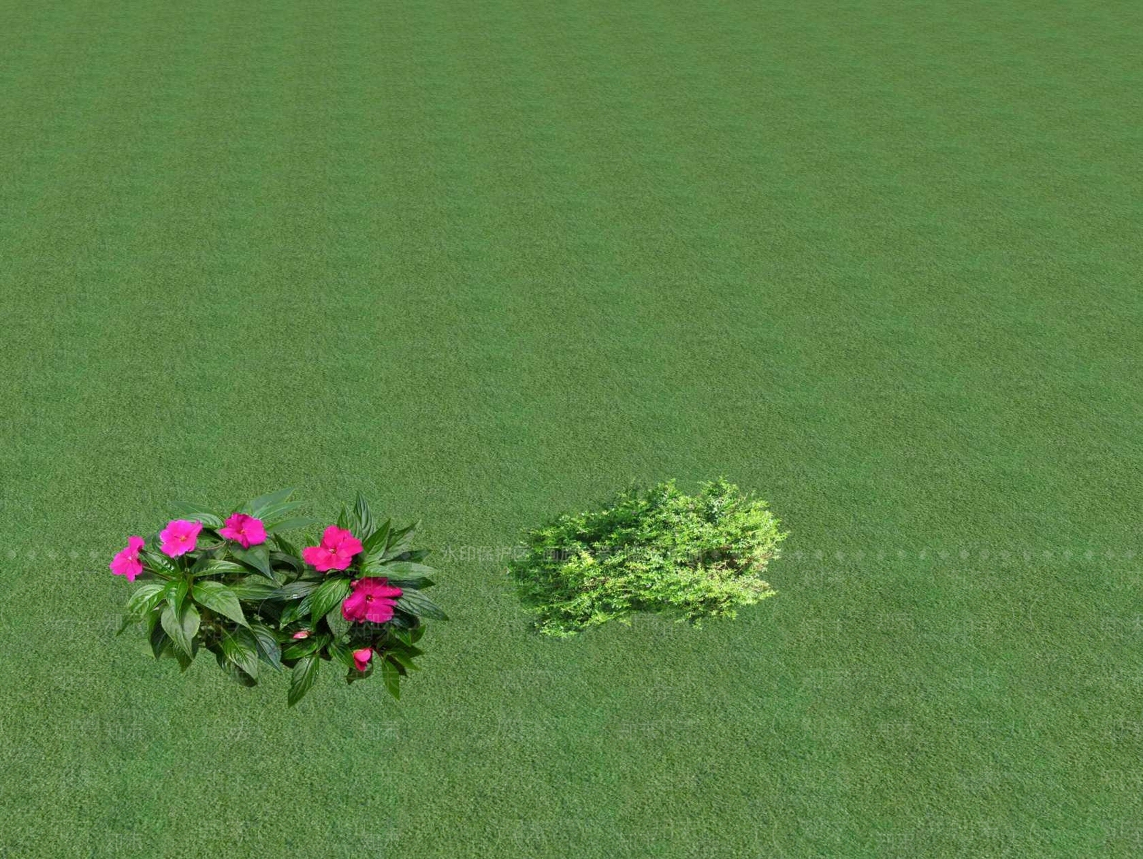 花草SU模型下载【ID:1201554621】