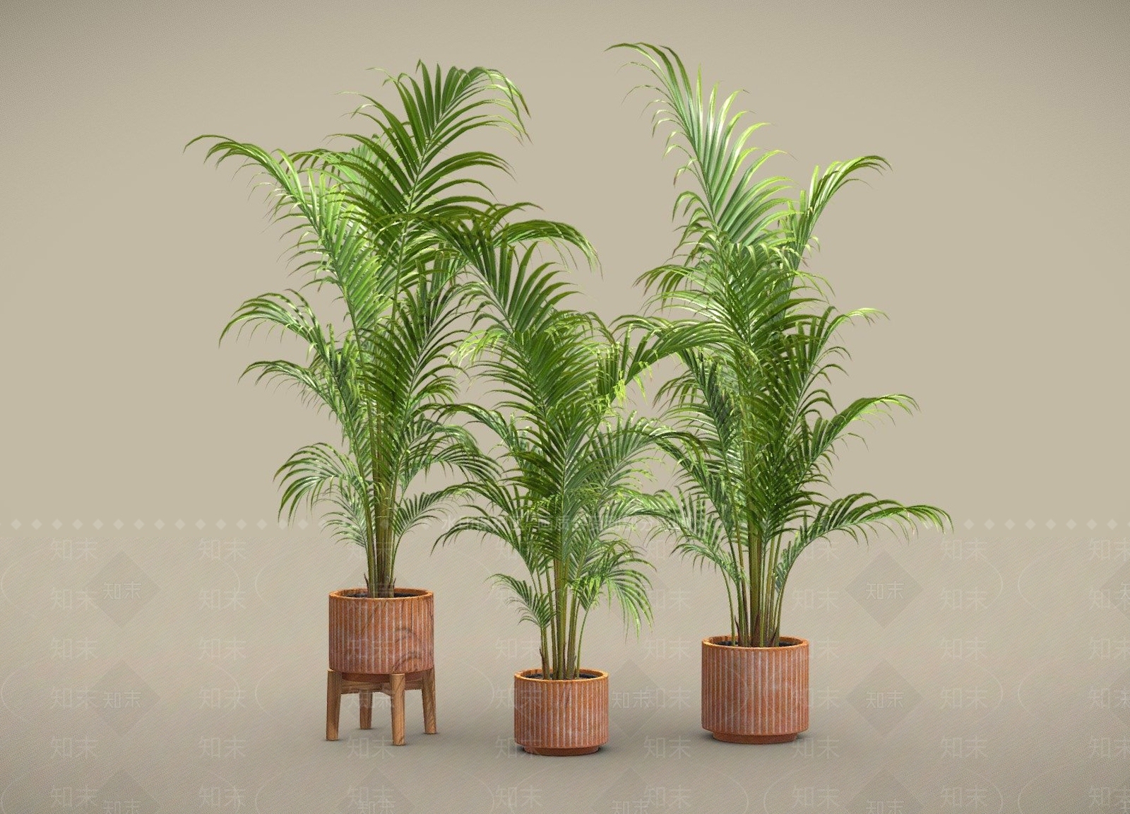 盆栽3D模型下载【ID:1201570939】
