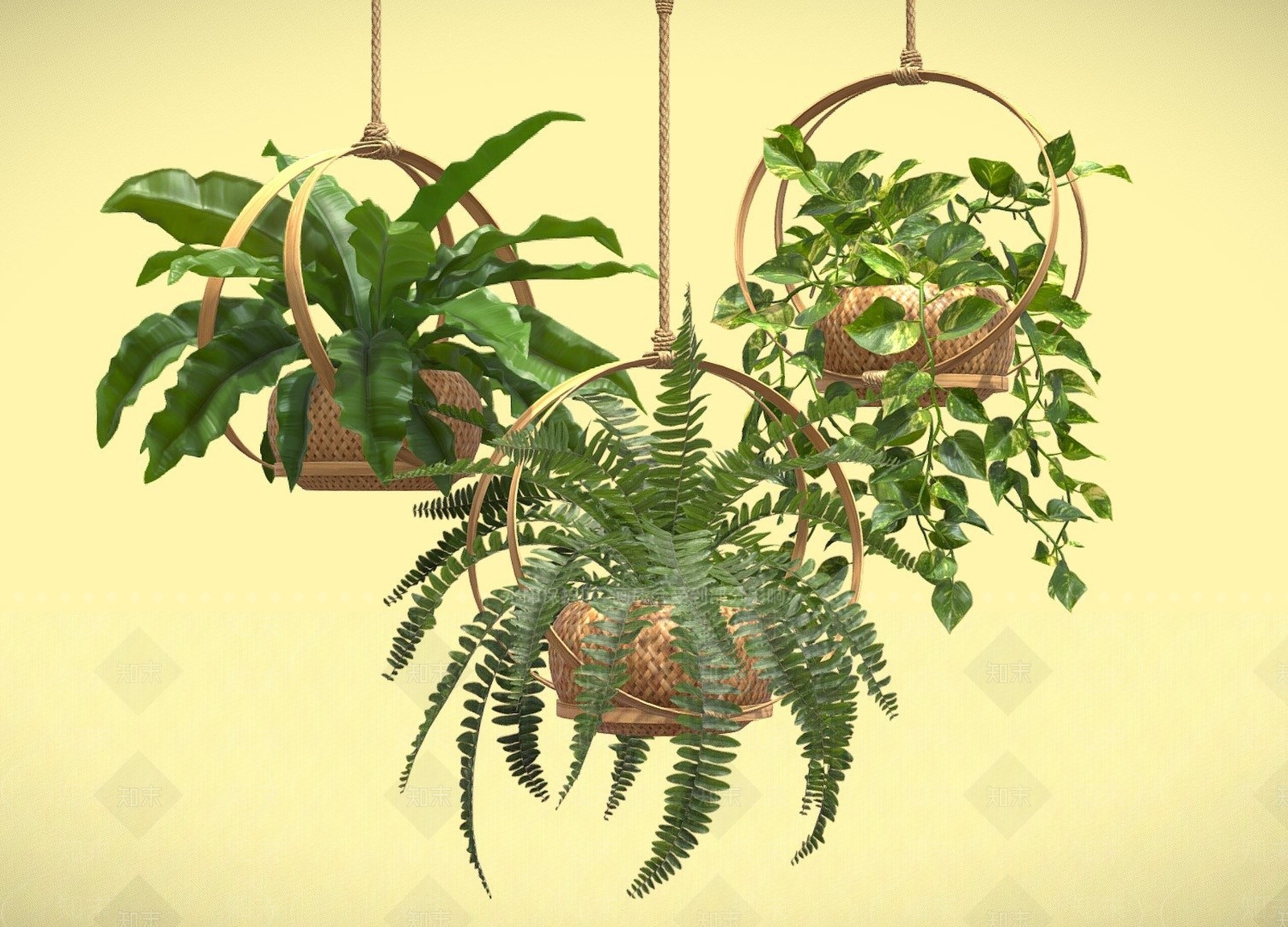 盆栽3D模型下载【ID:1201571707】