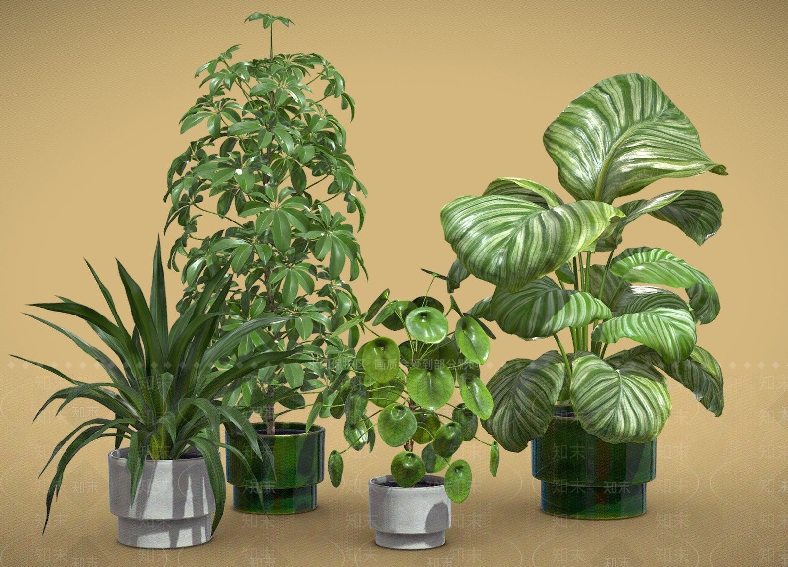 盆栽3D模型下载【ID:1201574172】