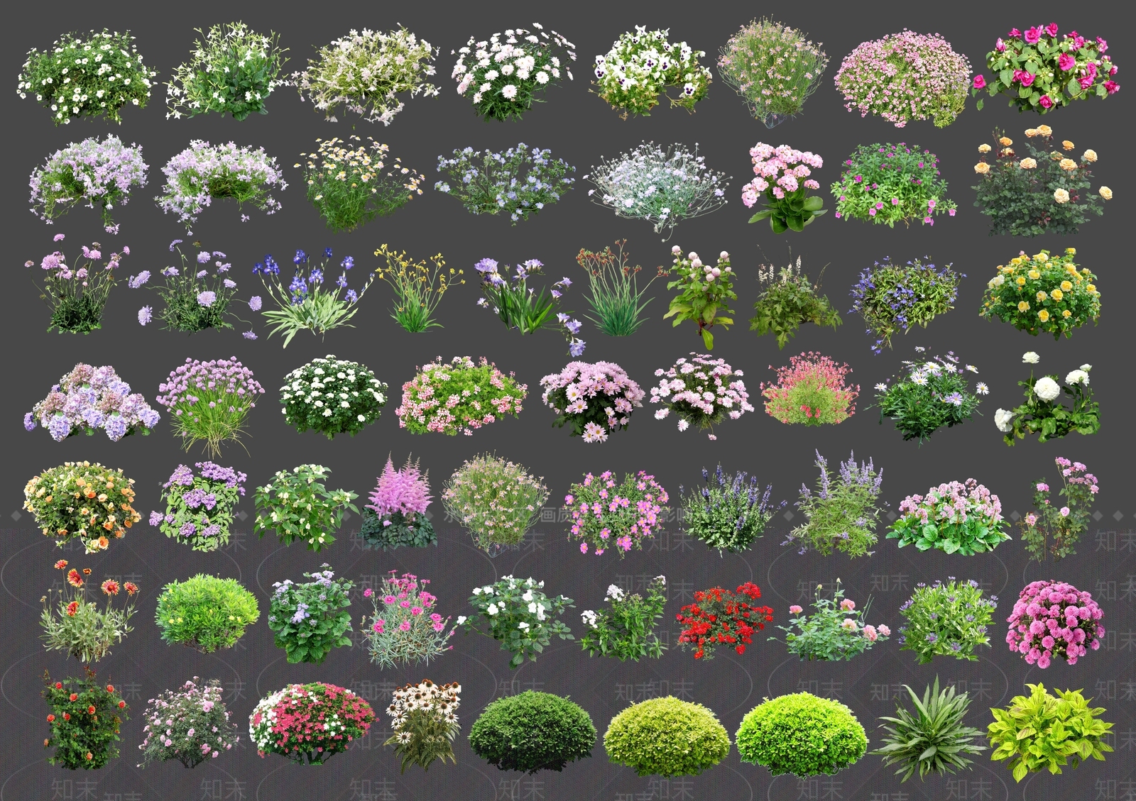 灌木SU模型下载【ID:1201578639】