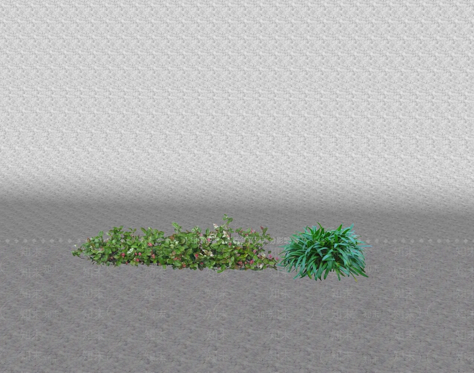 灌木SU模型草图