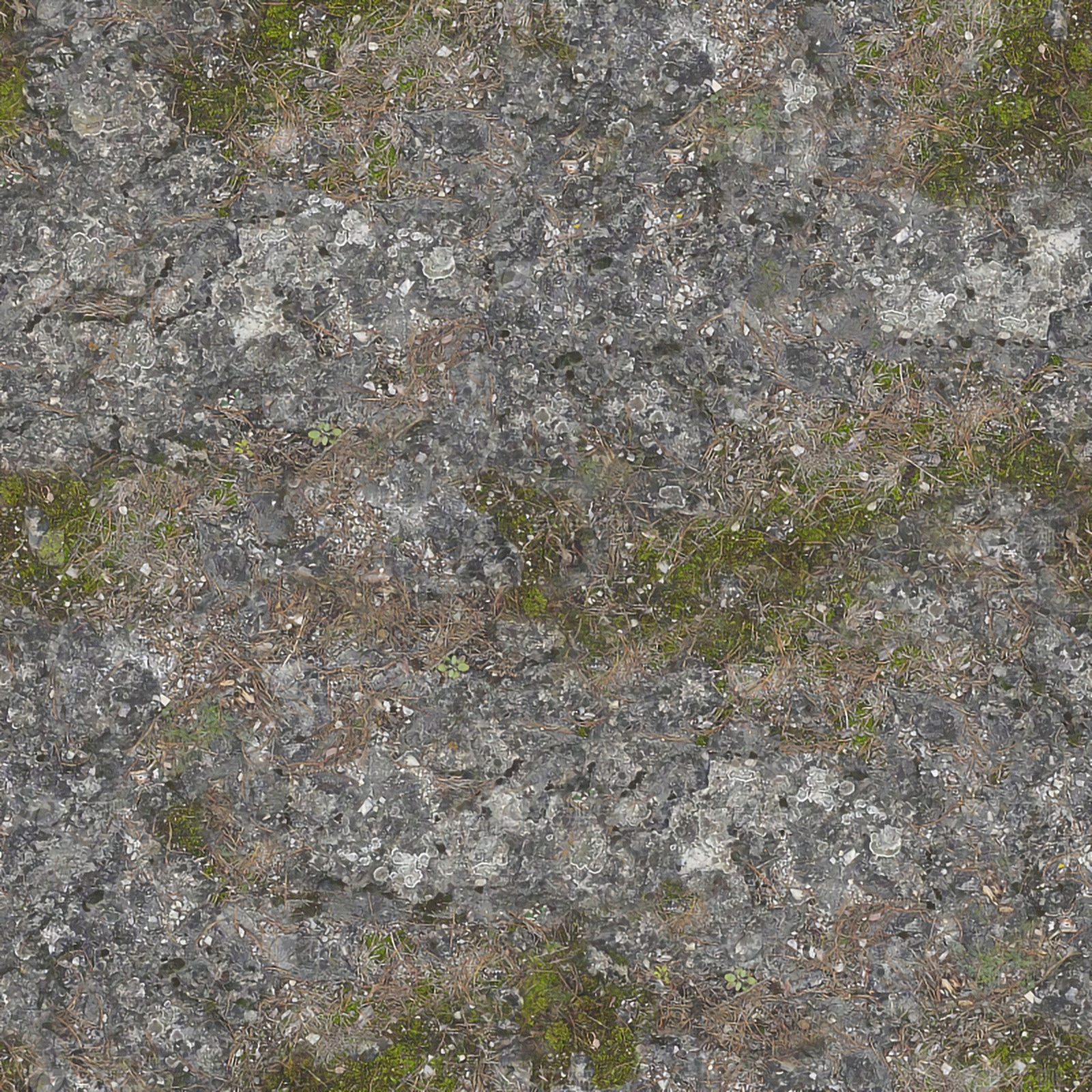 现代自然地面贴图下载【ID:1201589566】