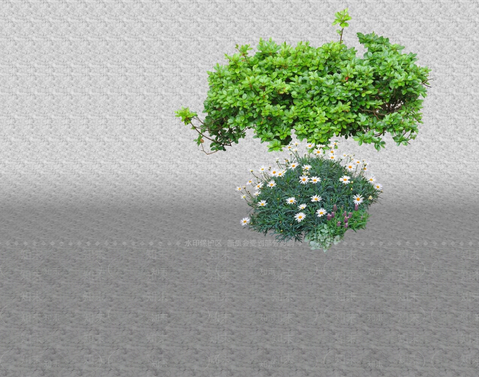 花草SU模型下载【ID:1201589920】