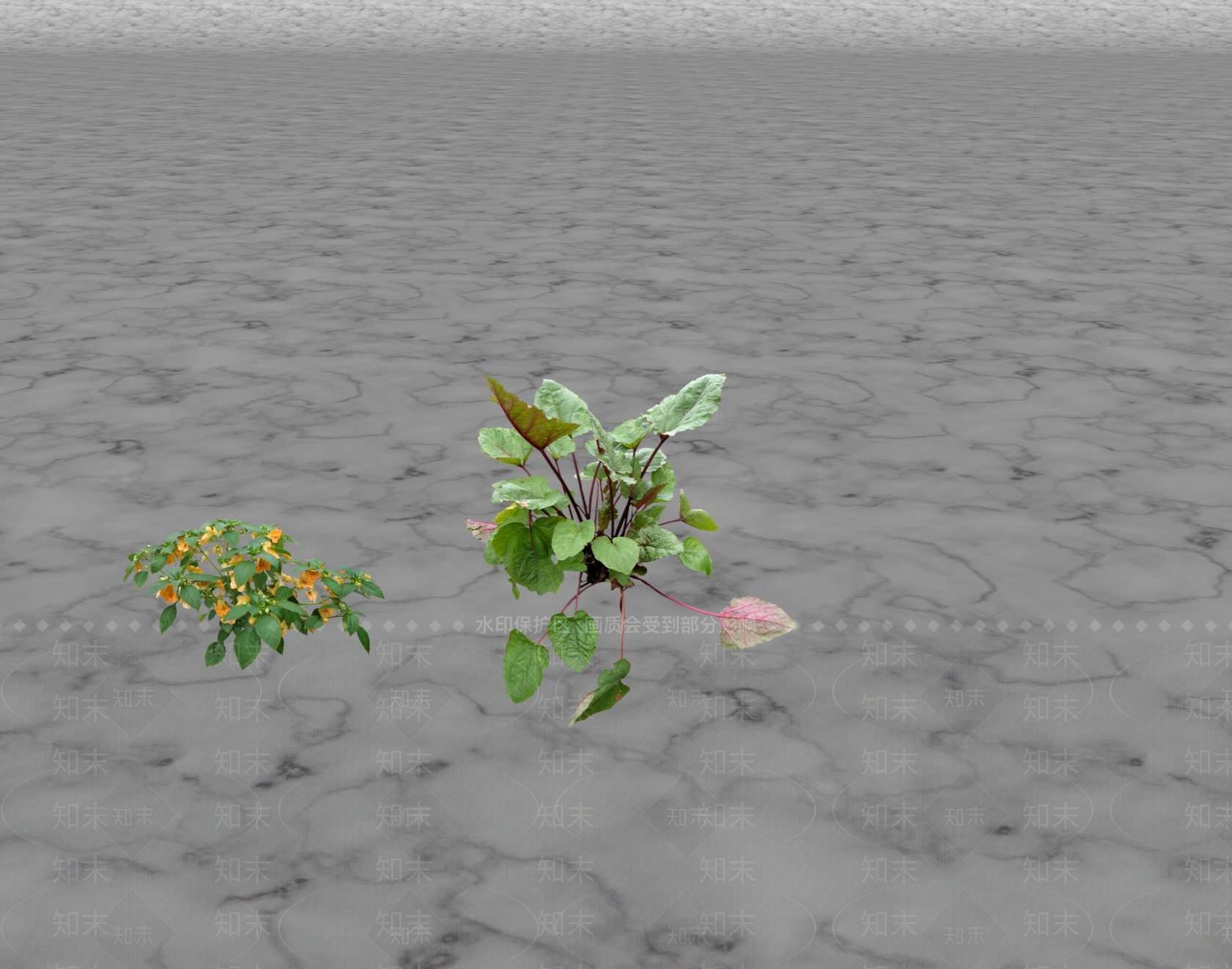 花草SU模型下载【ID:1201592932】