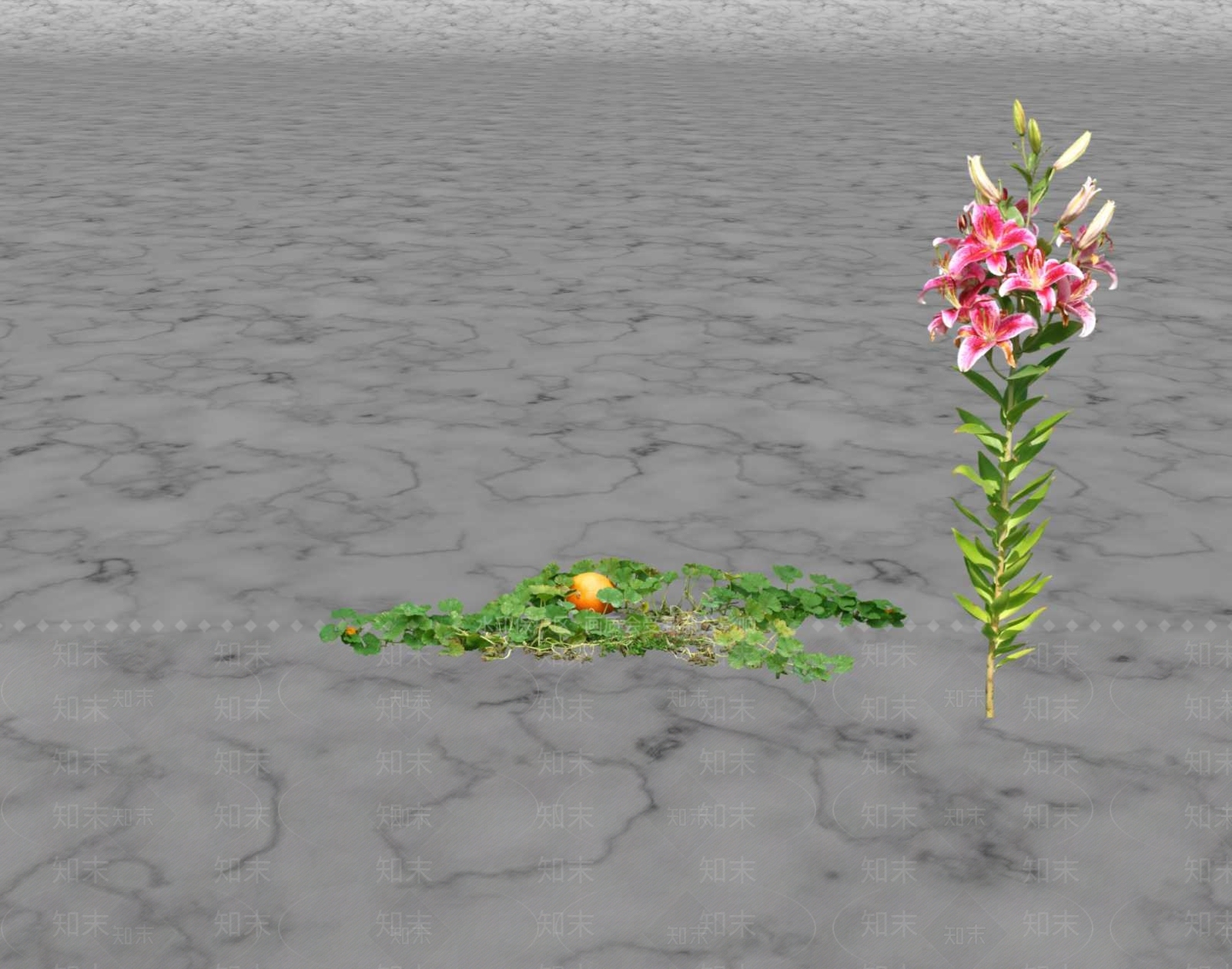 花草SU模型下载【ID:1201595889】