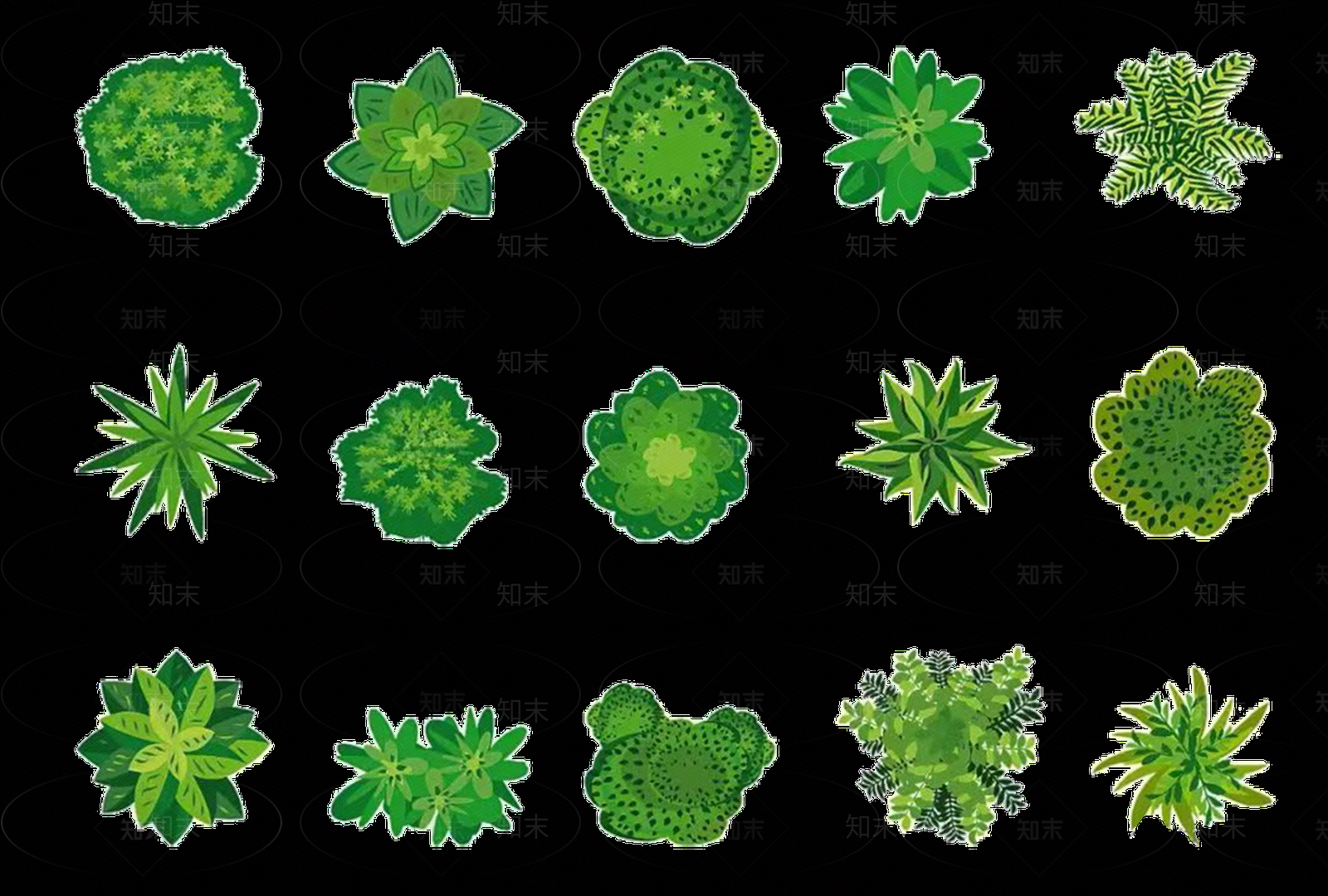 现代干枯植物纹理贴图下载【ID:1201619806】