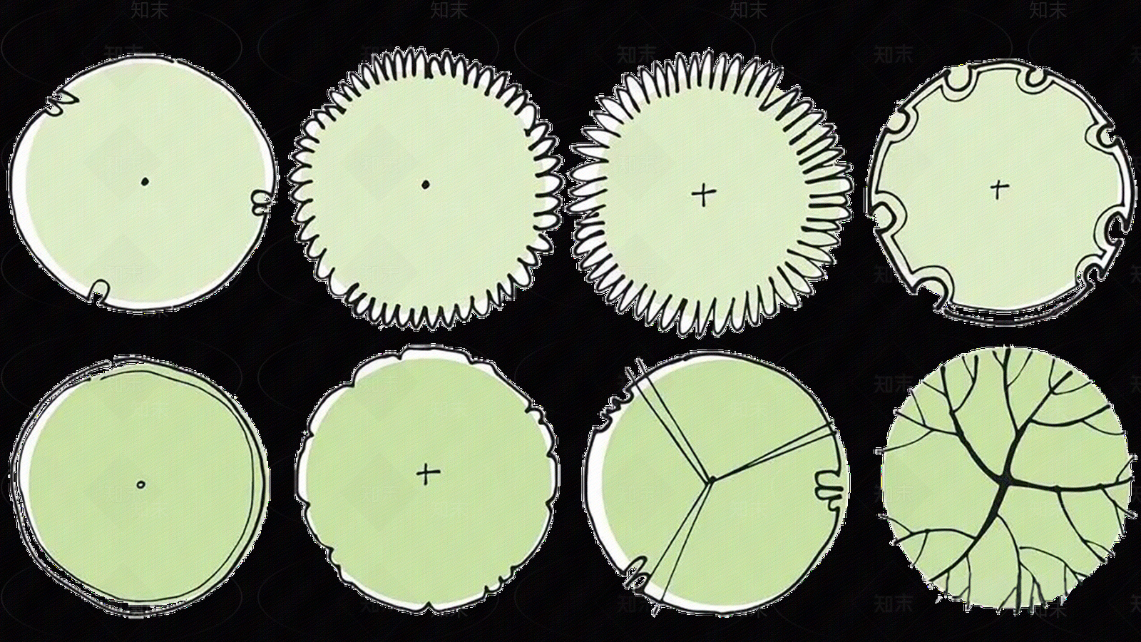 现代树木贴图下载【ID:1201619964】
