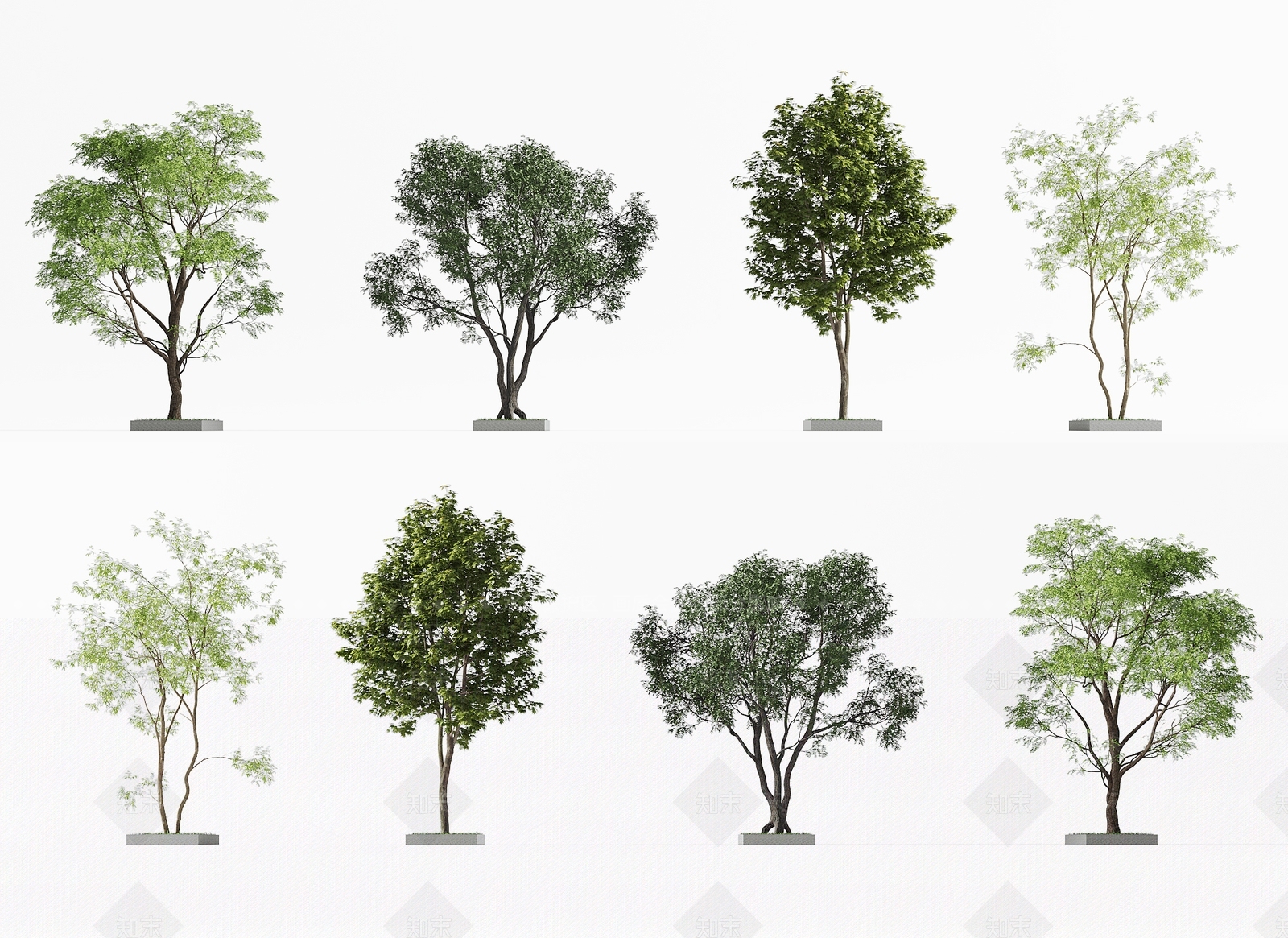 景观树3D模型下载【ID:1201653581】