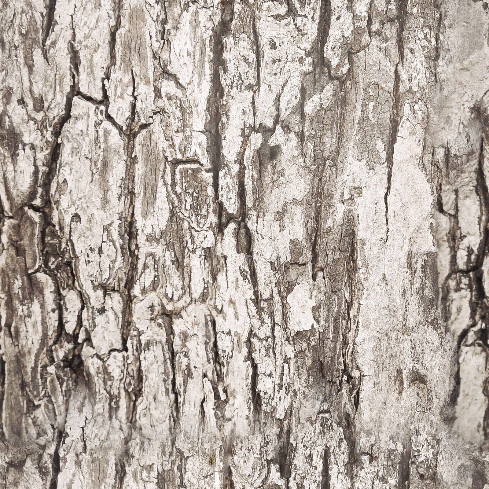 现代新中式其他木材贴图下载【ID:1201675702】