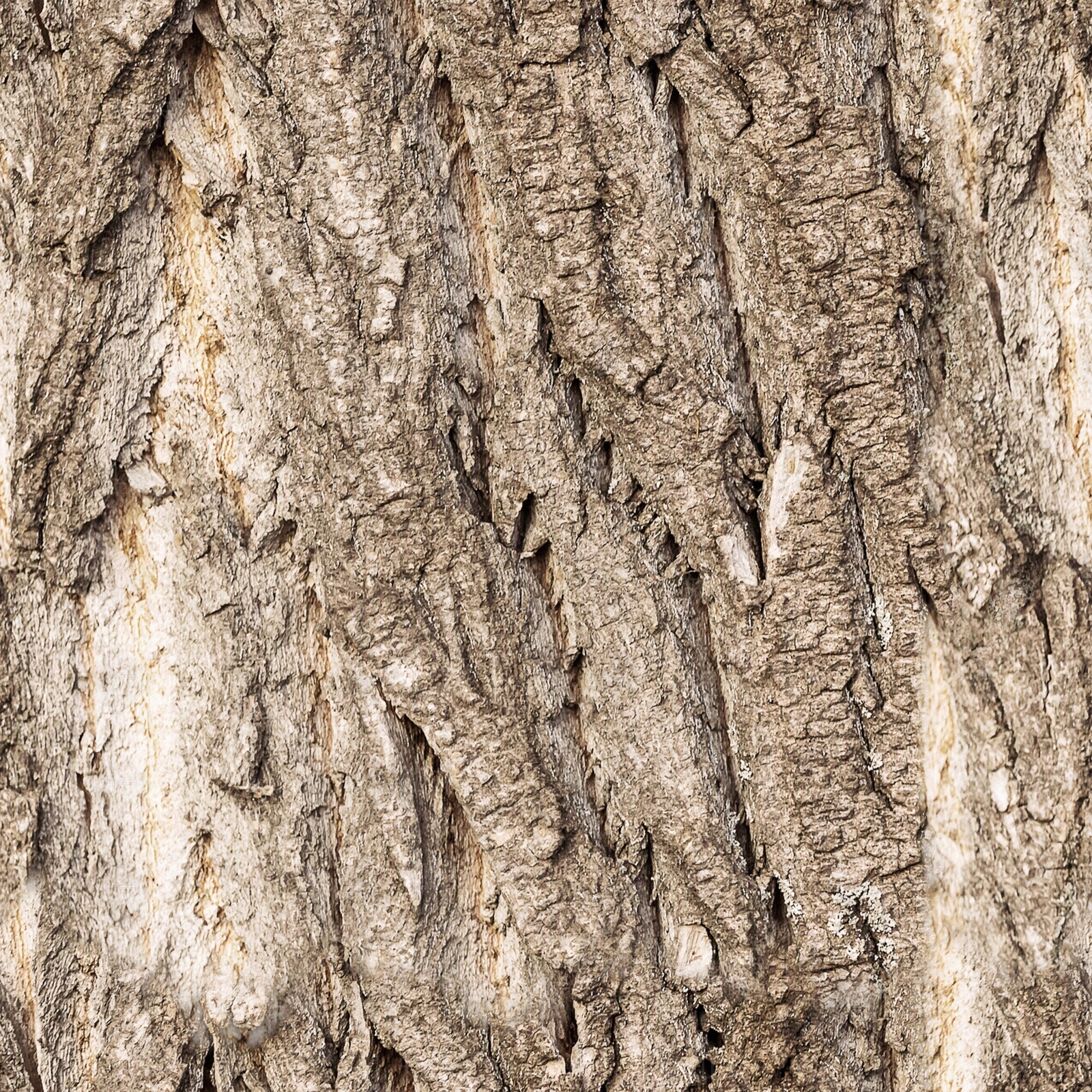 现代新中式其他木材贴图下载【ID:1201677389】