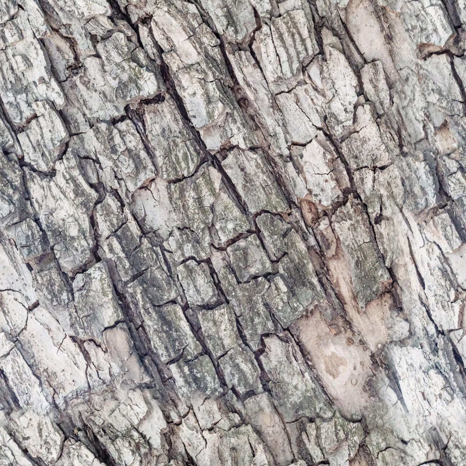 现代侘寂其他木材贴图下载【ID:1201678381】