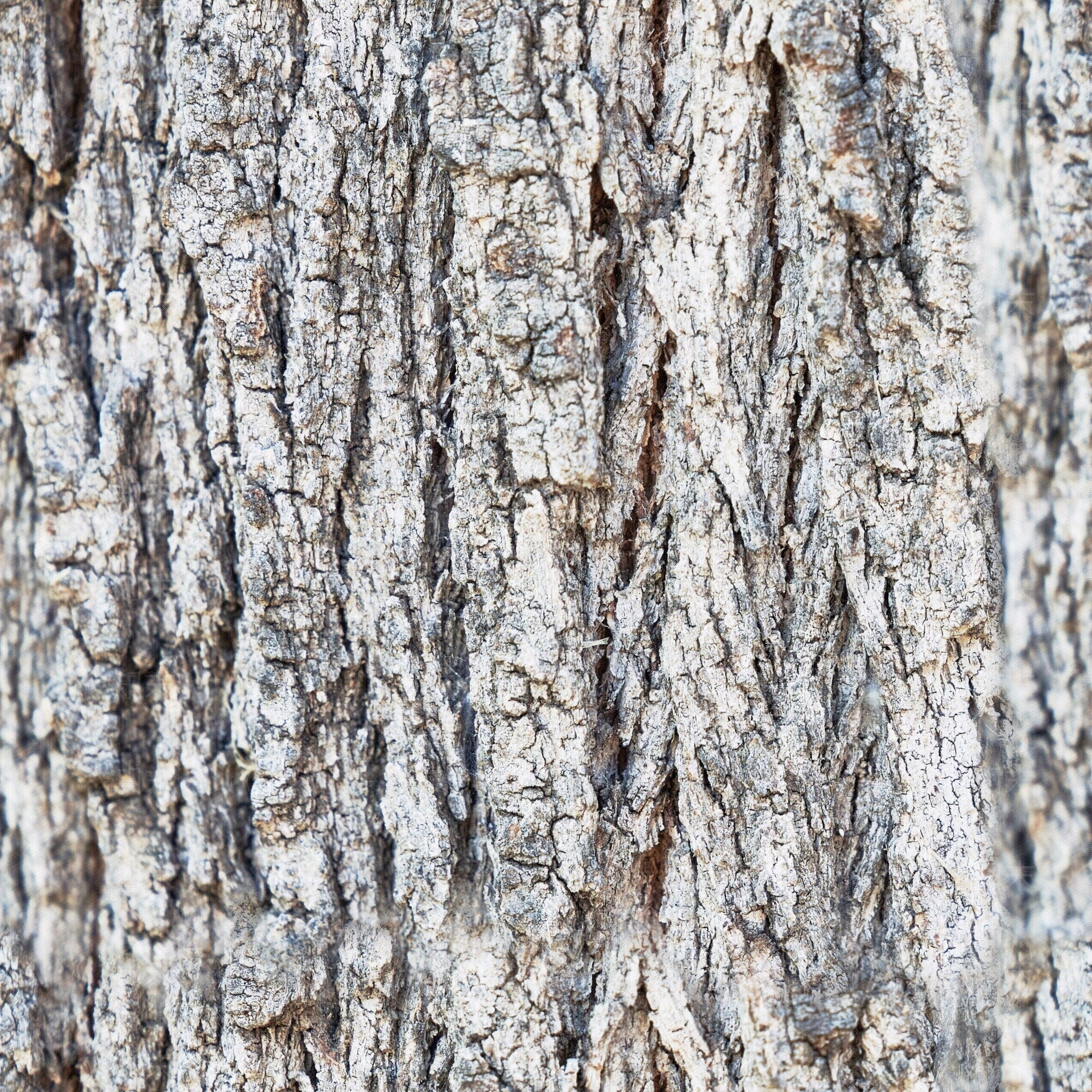 现代侘寂其他木材贴图下载【ID:1201678424】