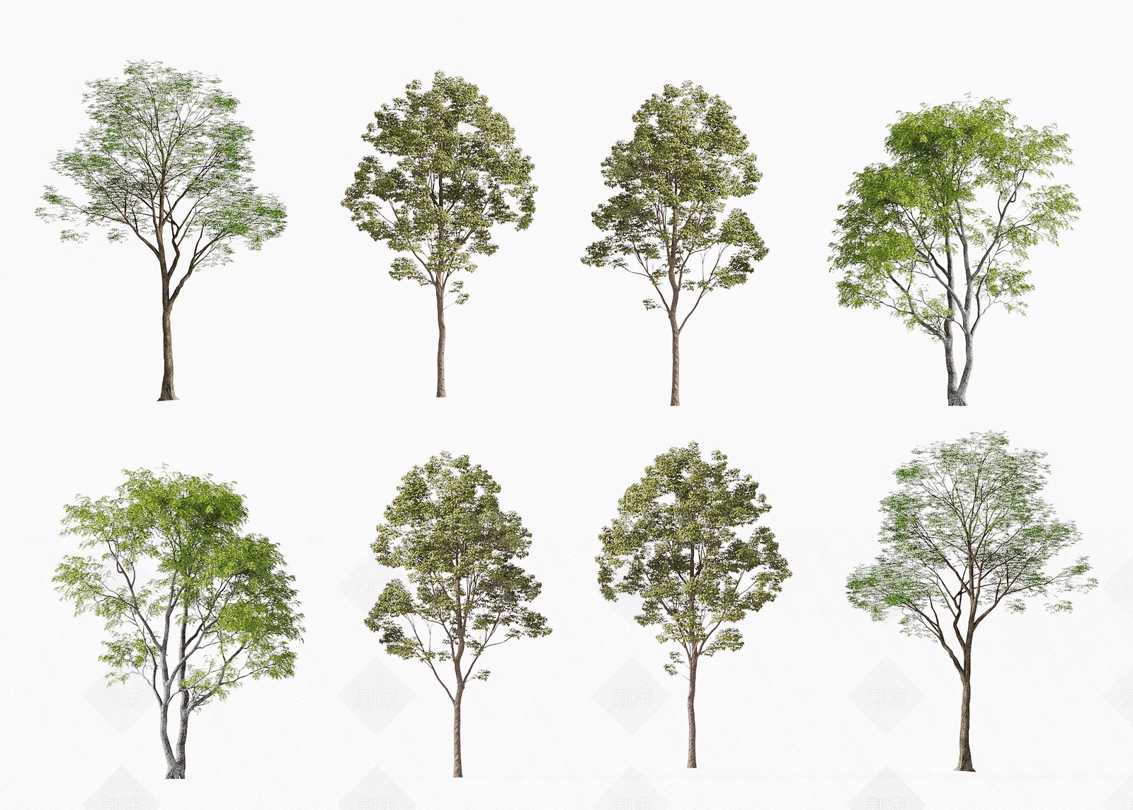 景观树3D模型下载【ID:1201694127】