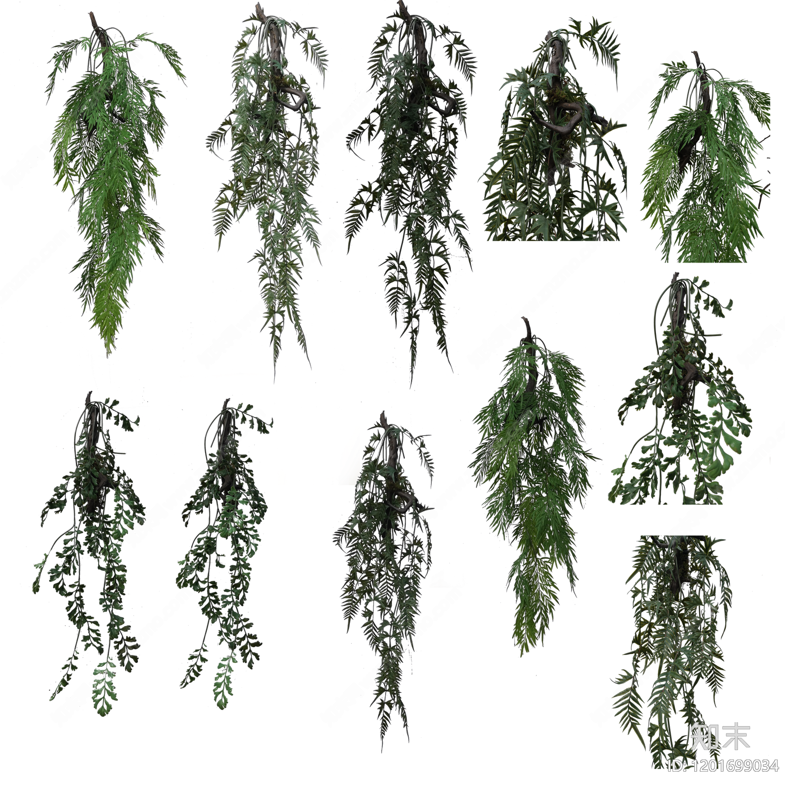 现代其他植物下载【ID:1201699034】