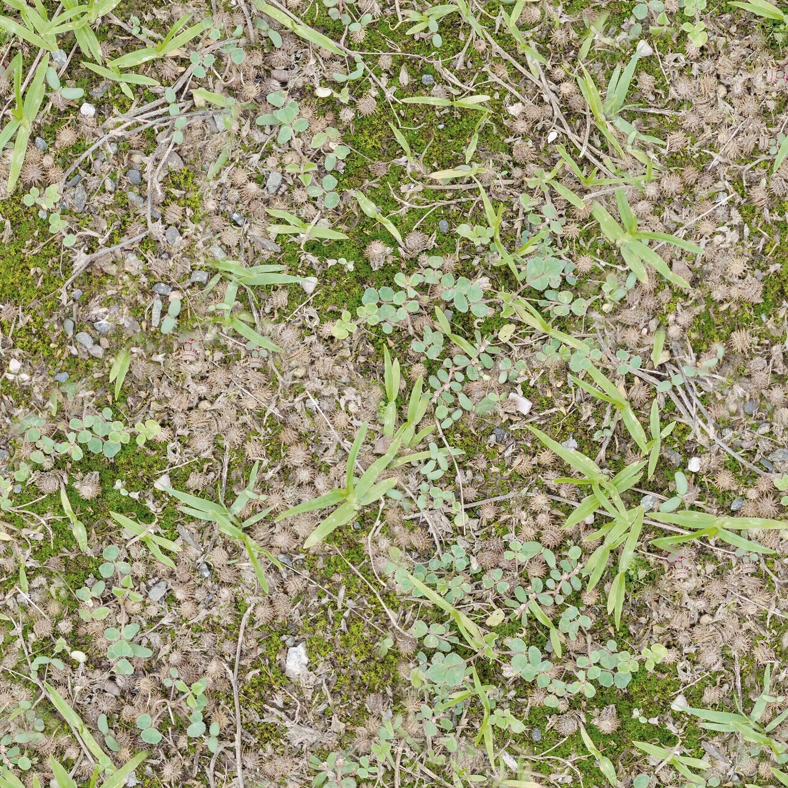 现代极简自然地面贴图下载【ID:1201702048】