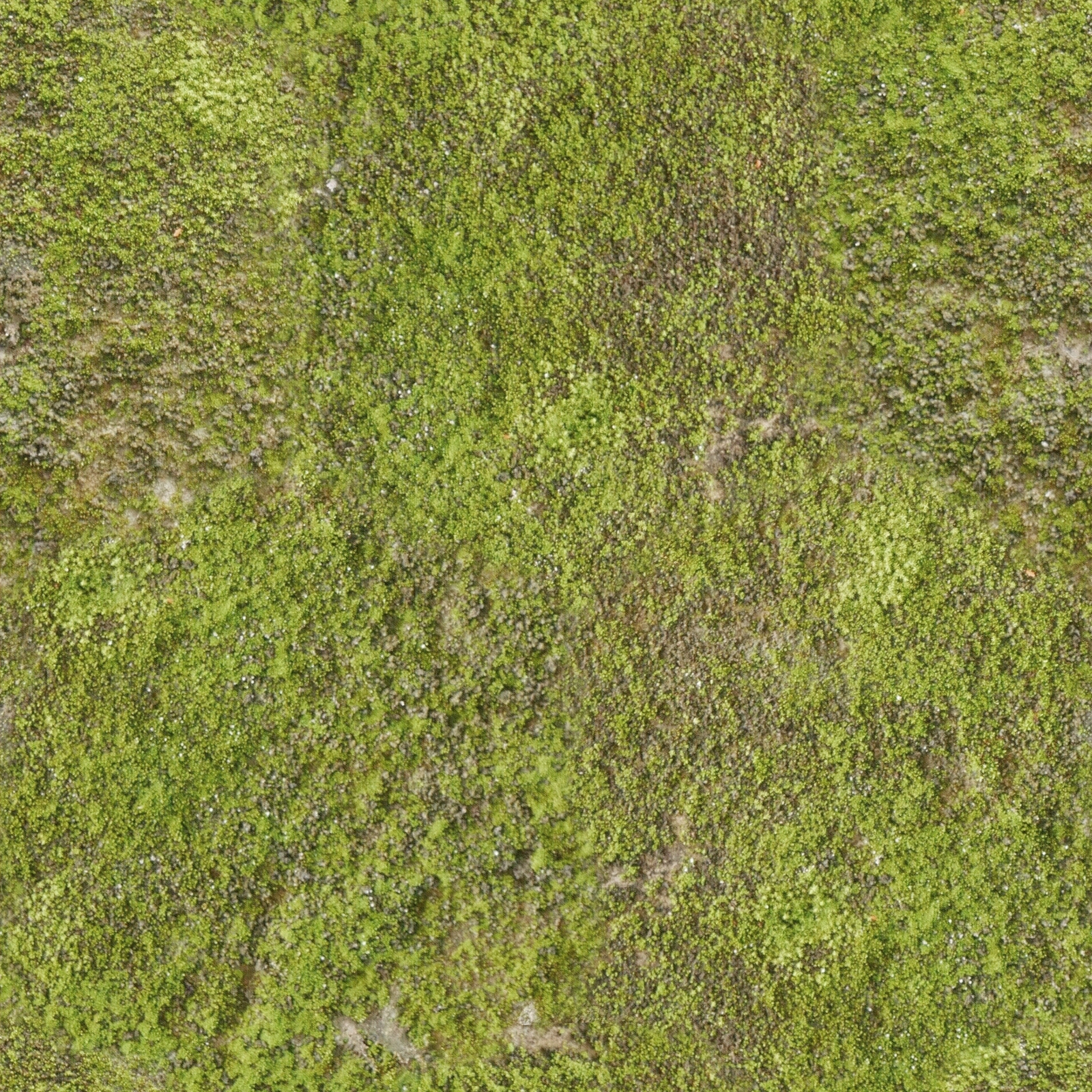 现代法式自然地面贴图下载【ID:1201702460】