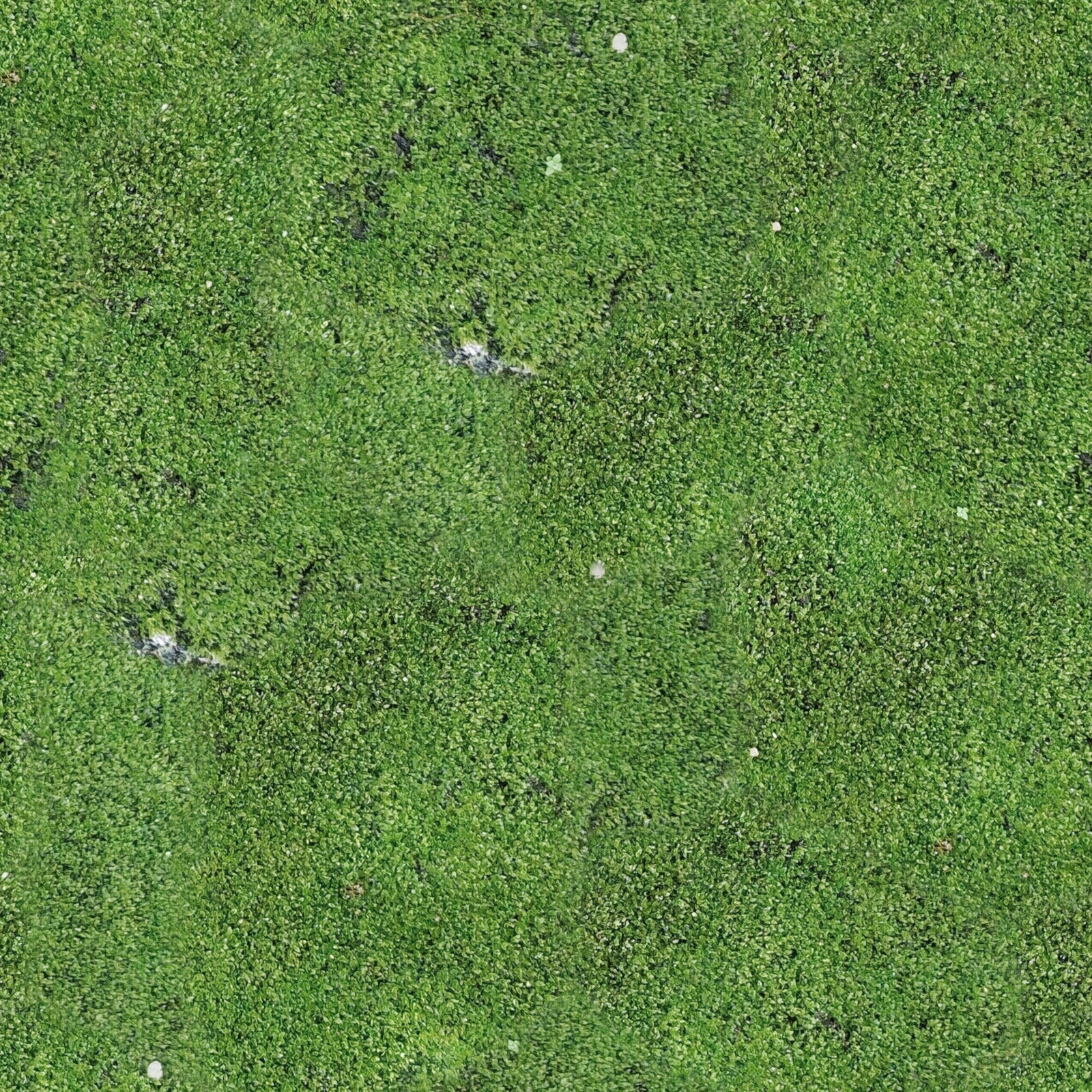 法式现代自然地面贴图下载【ID:1201703126】
