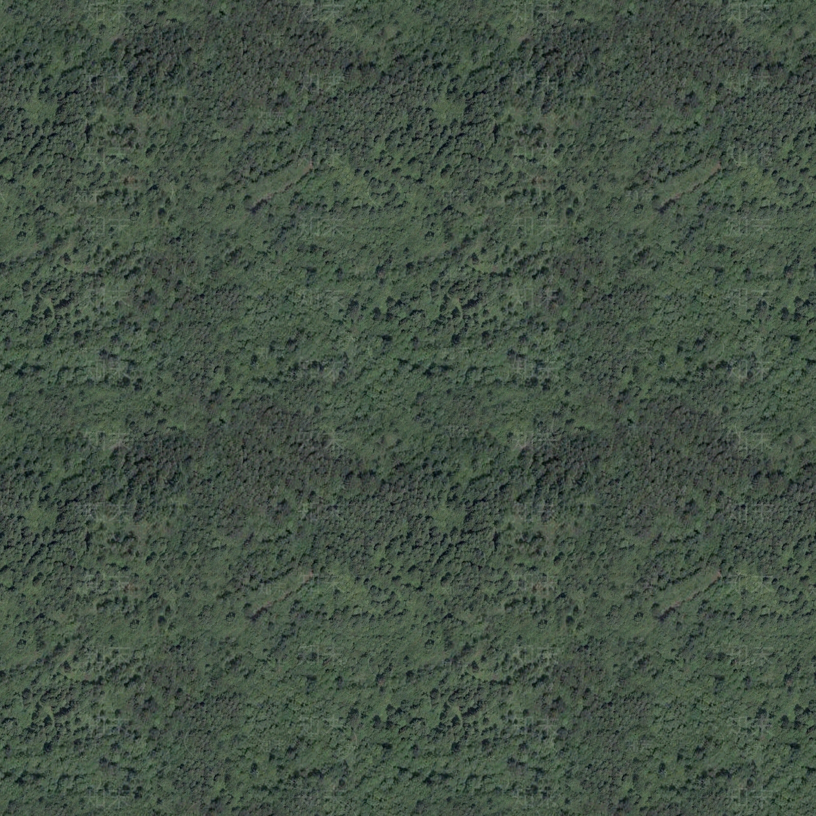 现代自然地面贴图下载【ID:1201734923】