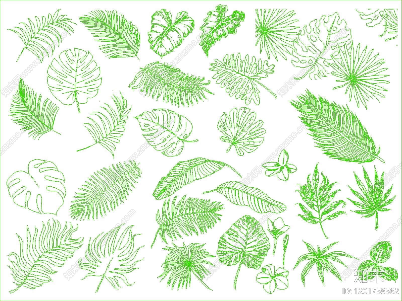 现代绿植施工图下载【ID:1201758562】