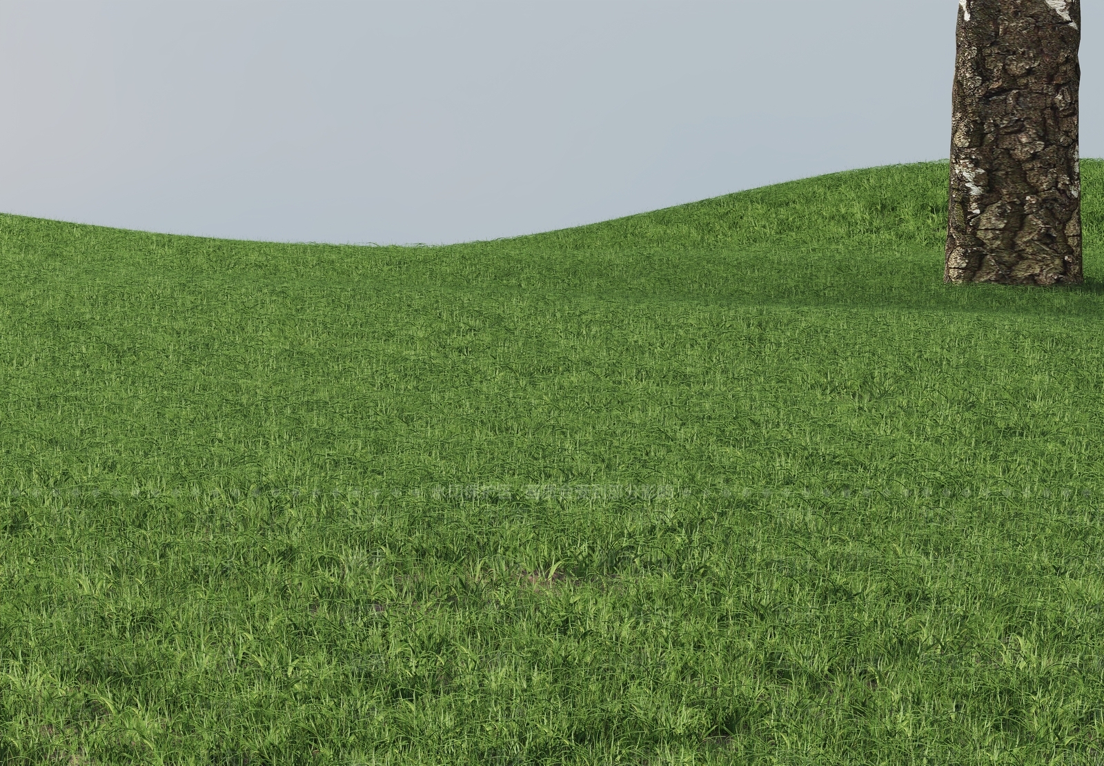 其他绿植3D模型下载【ID:1201760374】