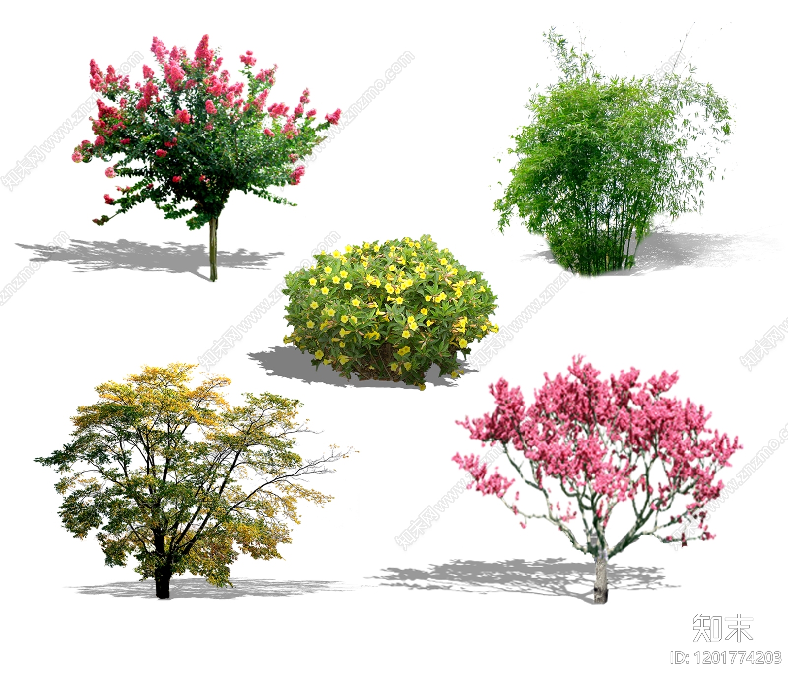 现代新中式其他植物下载【ID:1201774203】