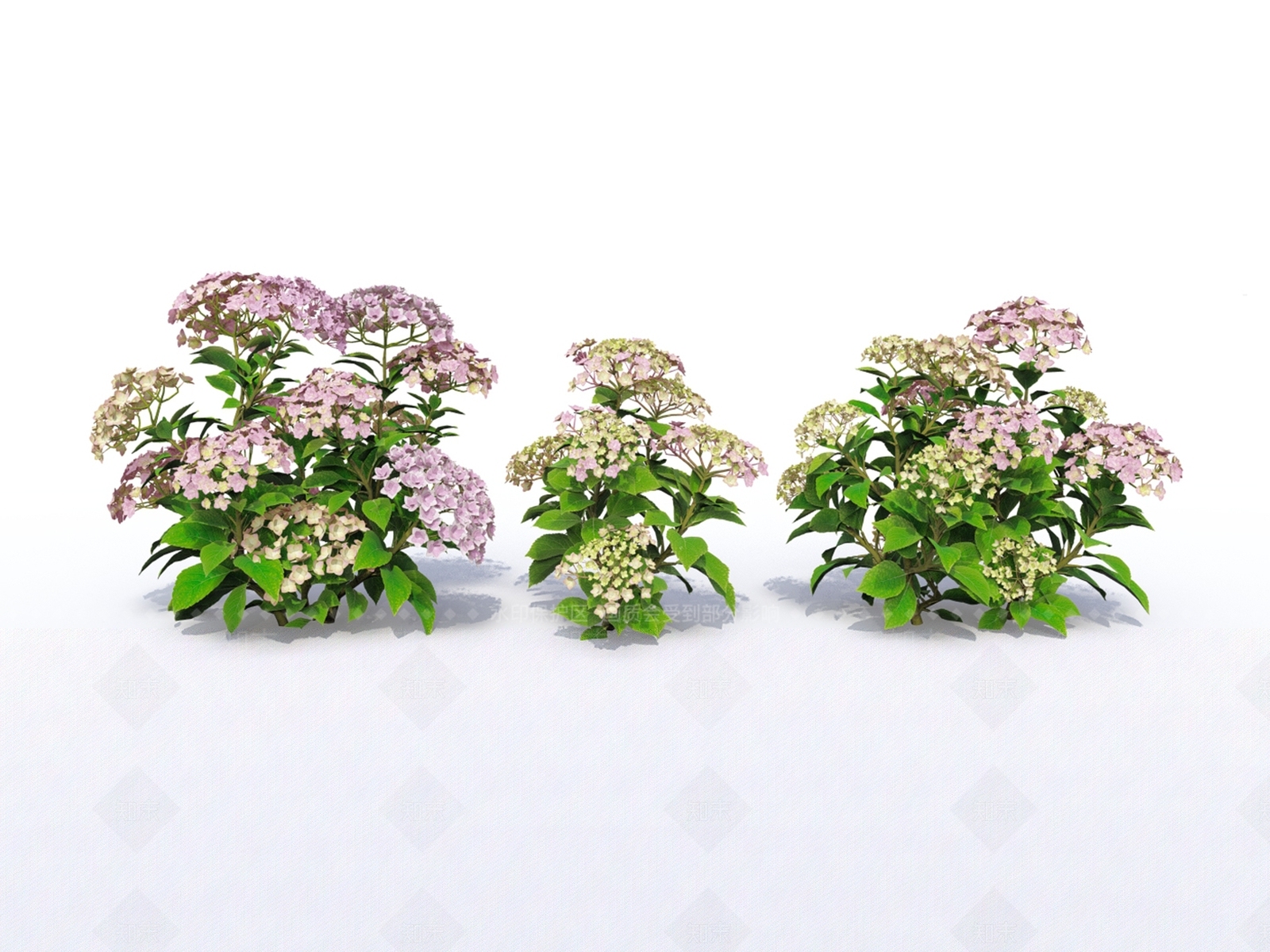 花草SU模型下载【ID:1201791192】