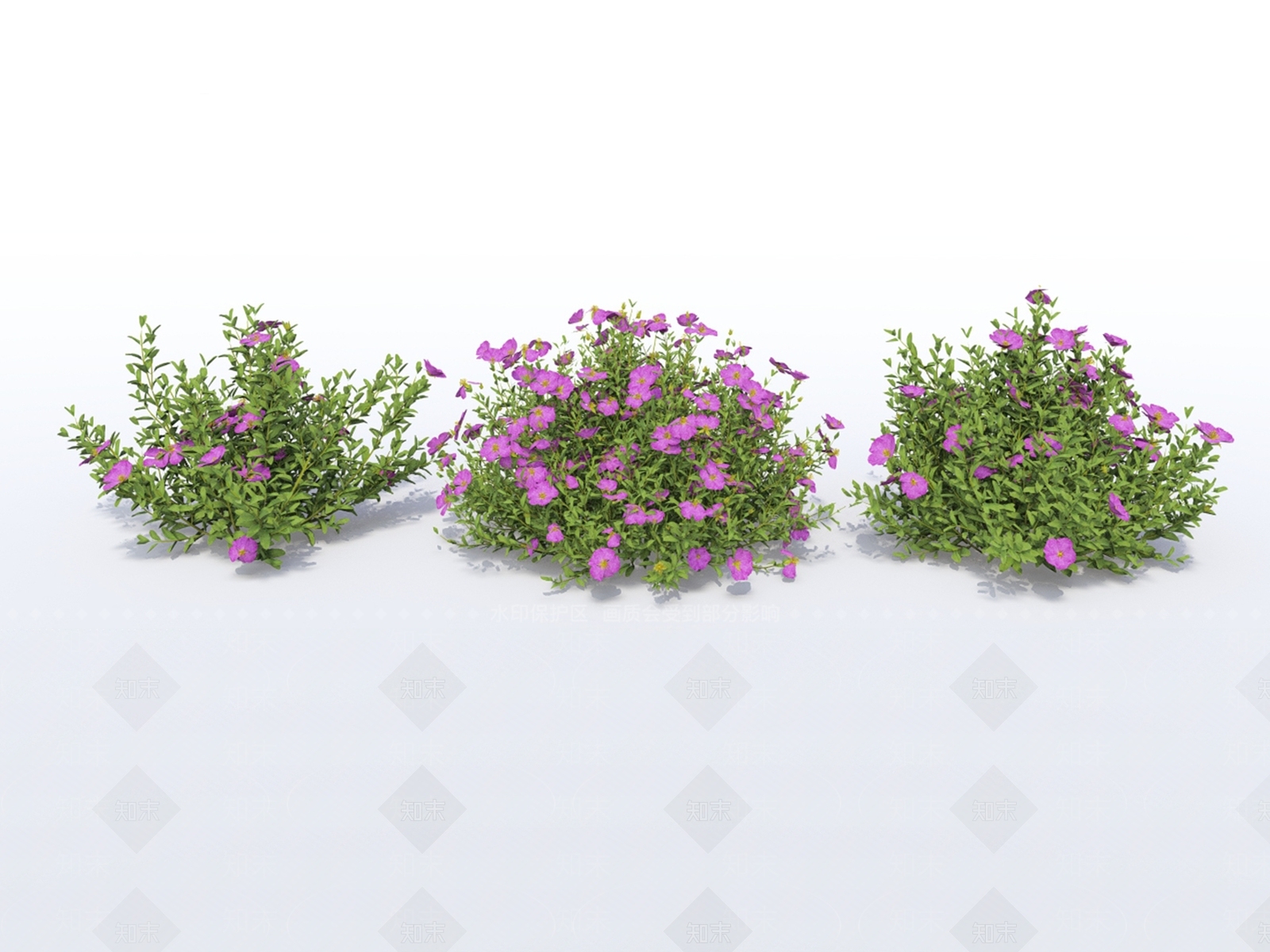 花草SU模型下载【ID:1201791823】