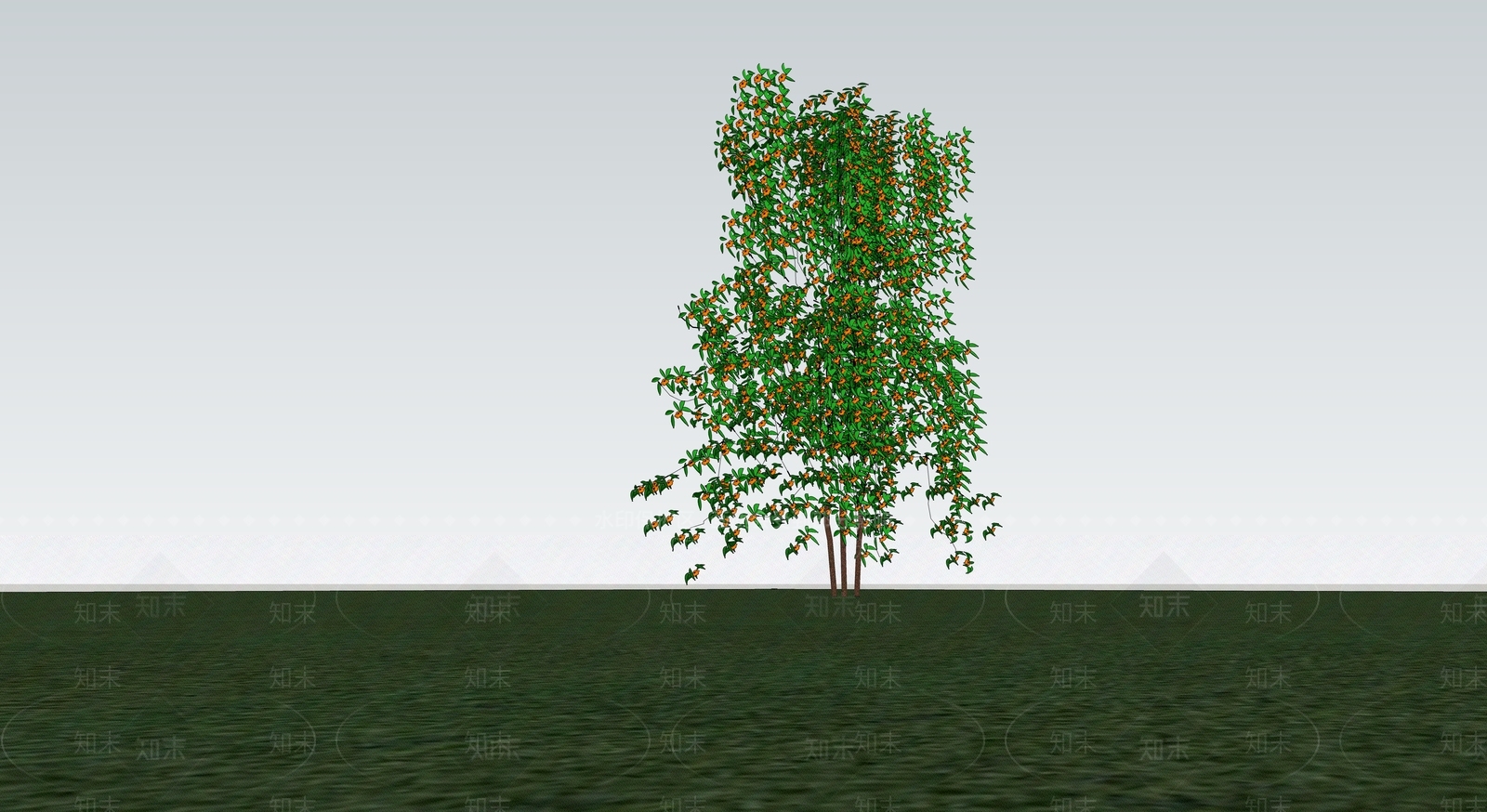 花草SU模型下载【ID:1201796251】