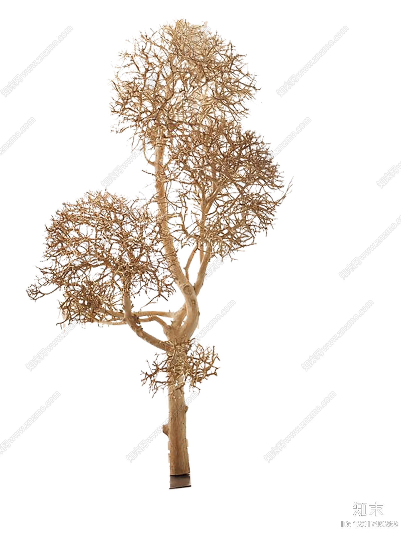 新中式欧式乔木下载【ID:1201799263】