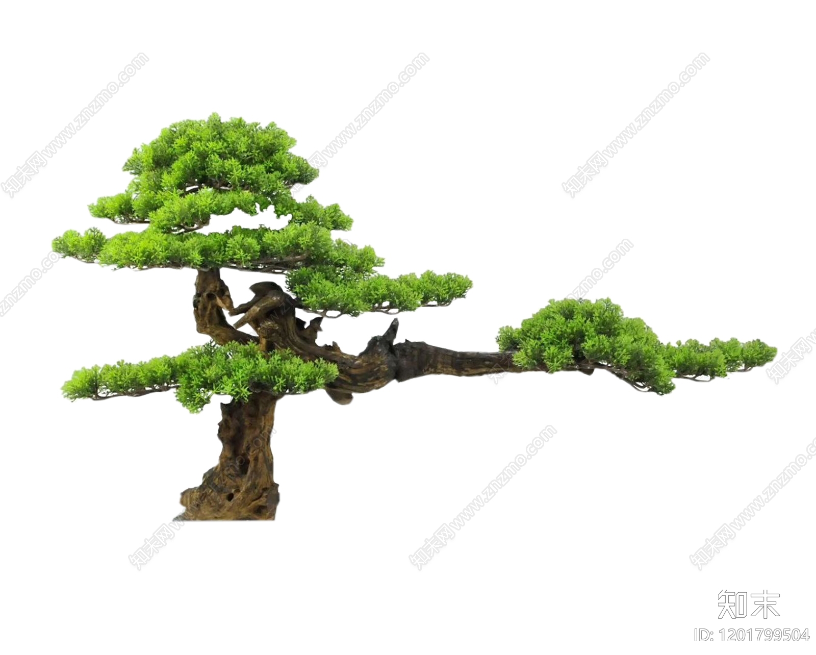 新中式中式乔木下载【ID:1201799504】