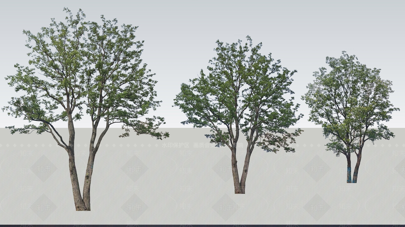 乔木SU模型下载【ID:1201802495】