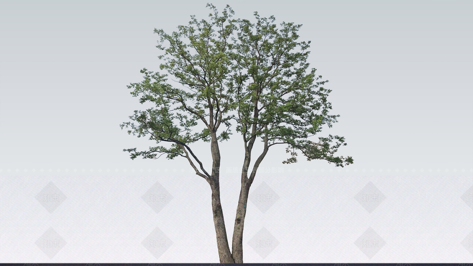 乔木SU模型下载【ID:1201802495】