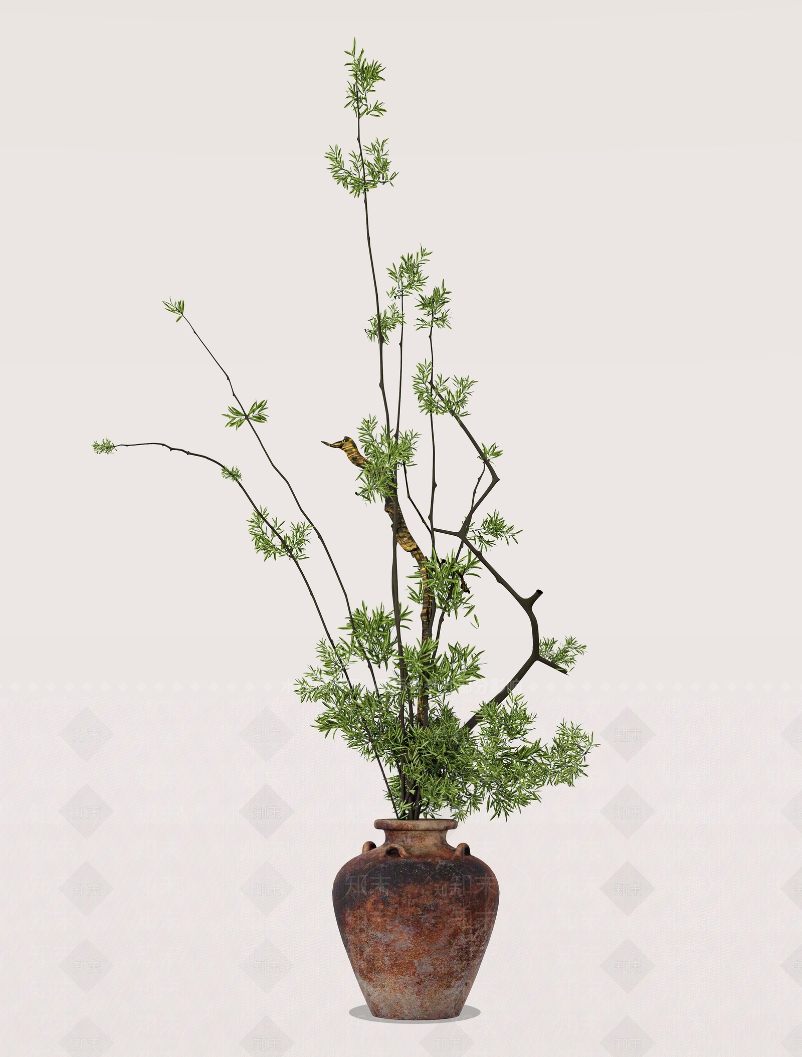 盆栽3D模型下载【ID:1201919247】