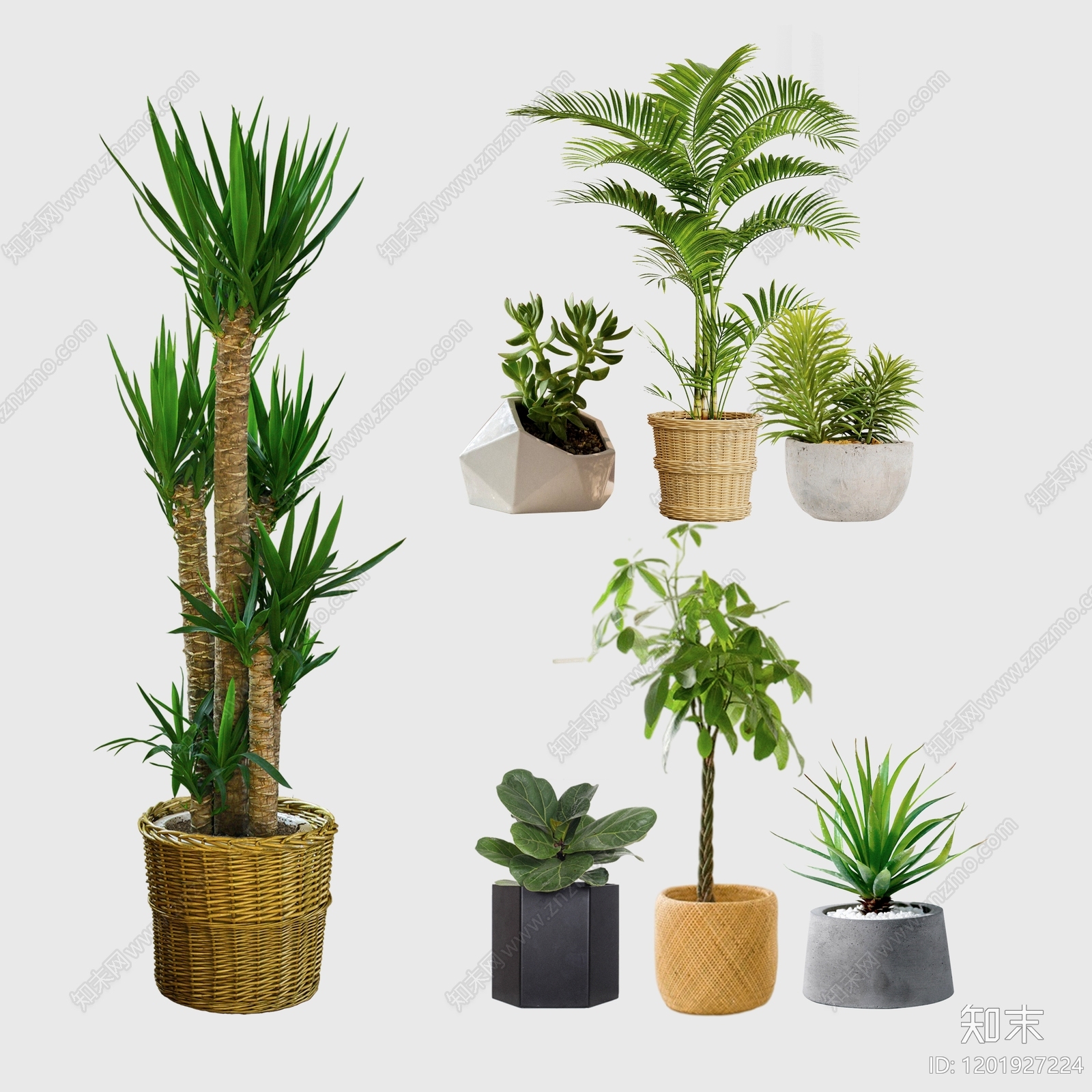 中式美式盆栽下载【ID:1201927224】