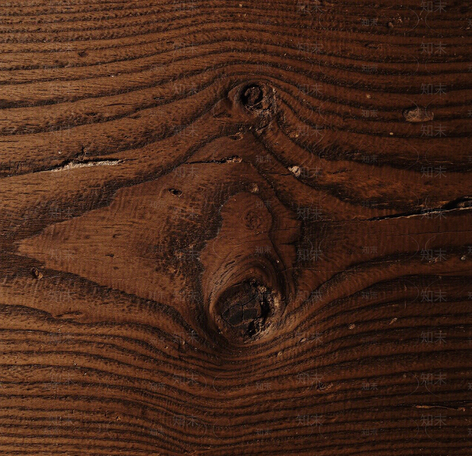 现代新中式樟木贴图下载【ID:1201964187】