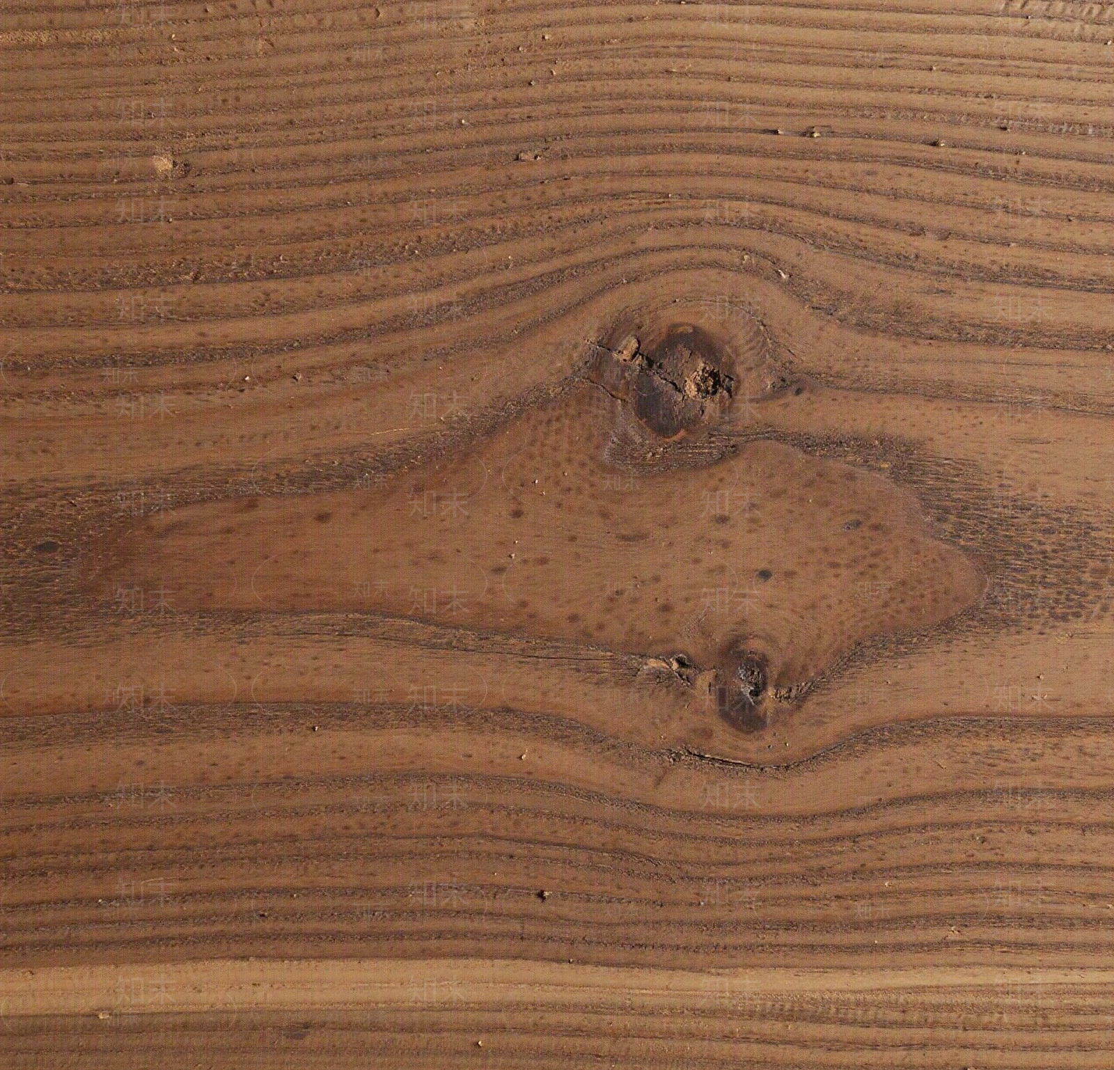 现代新中式樟木贴图下载【ID:1201972865】