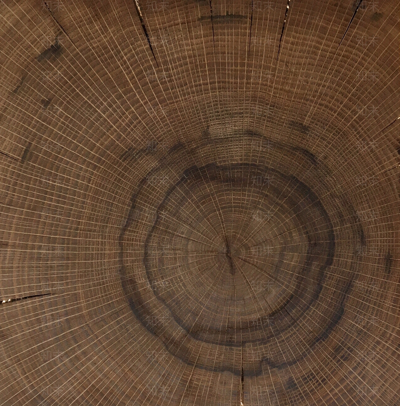 新中式法式年轮贴图下载【ID:1201993970】