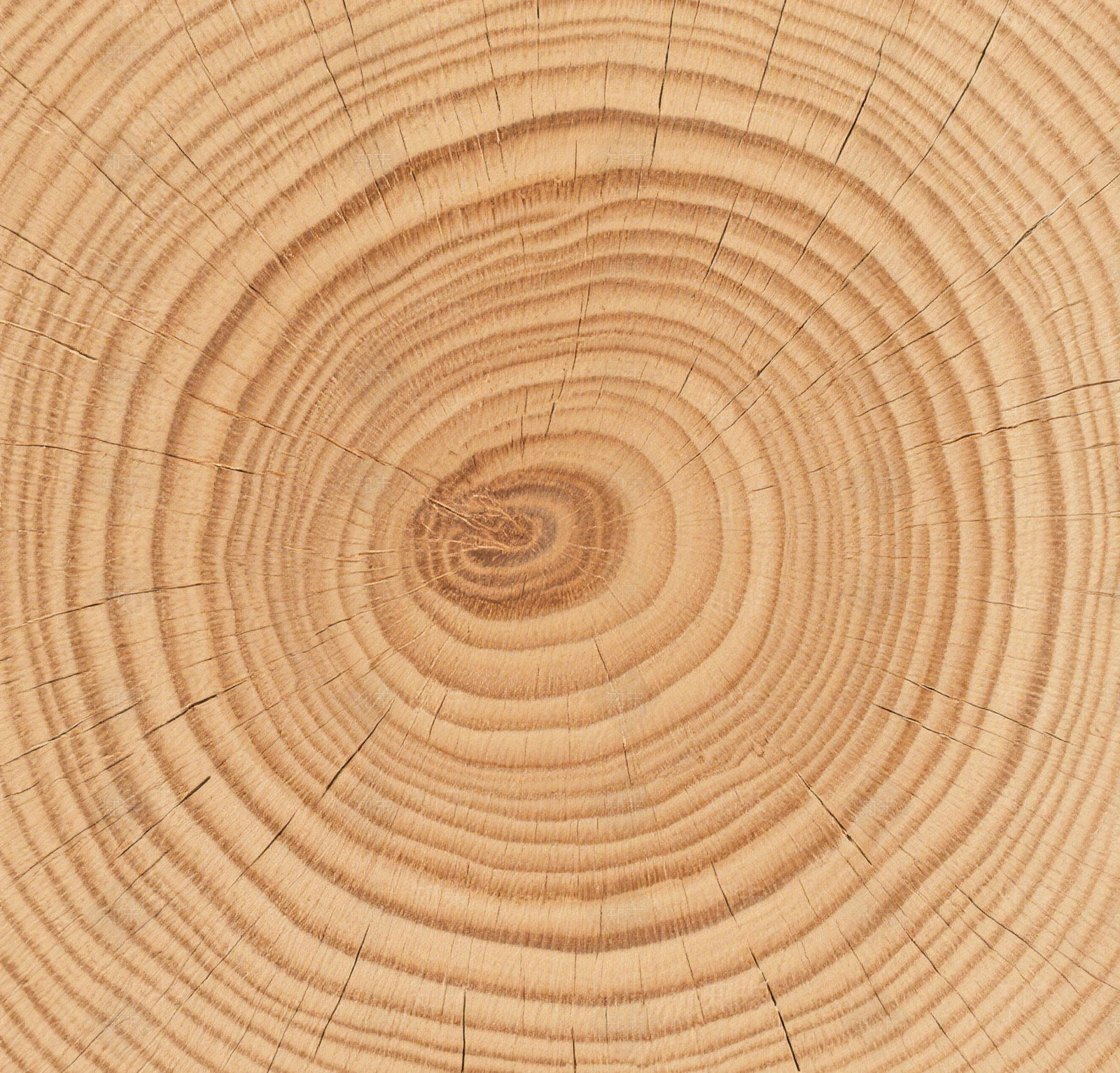 现代新中式樟木贴图下载【ID:1202023444】