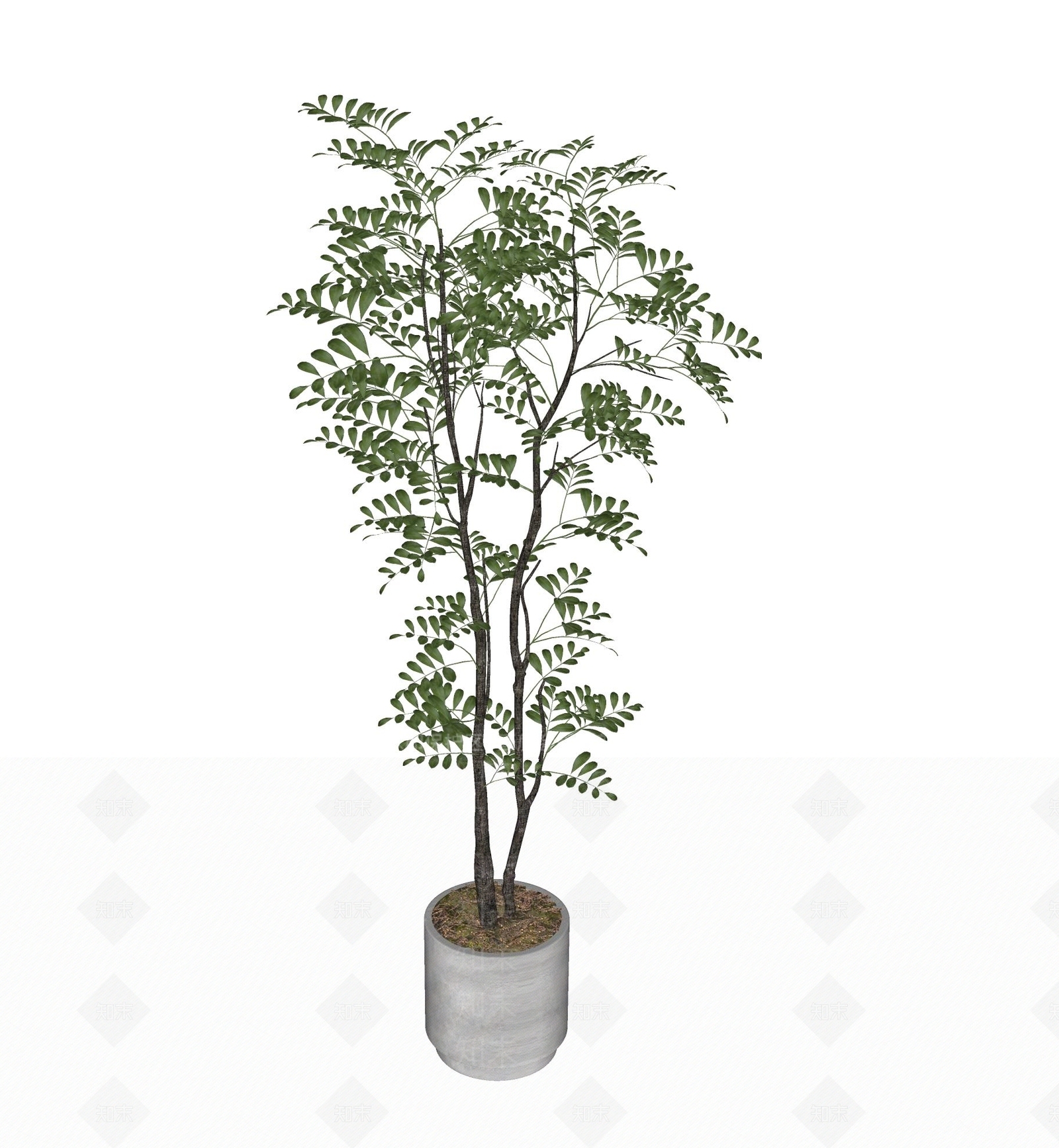 盆栽SU模型下载【ID:1202058728】
