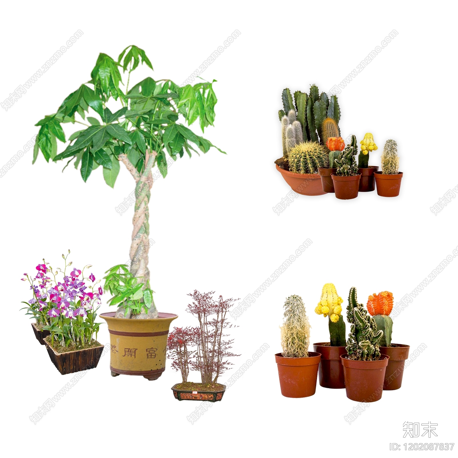 现代新中式盆栽下载【ID:1202087837】