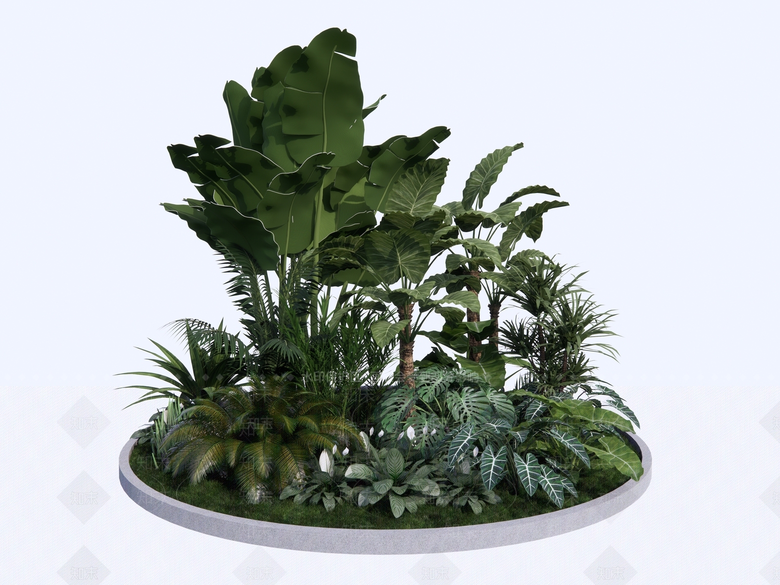 植物组合SU模型草图