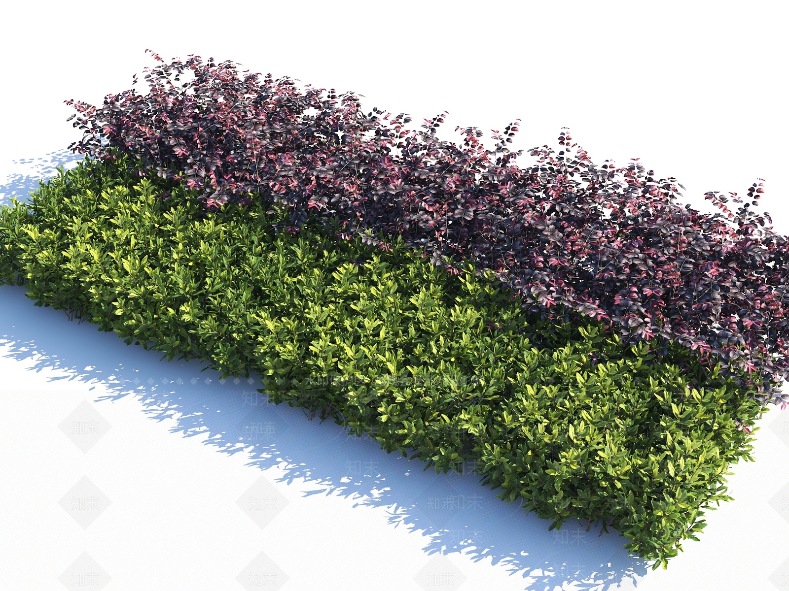 灌木SU模型下载【ID:1202135486】