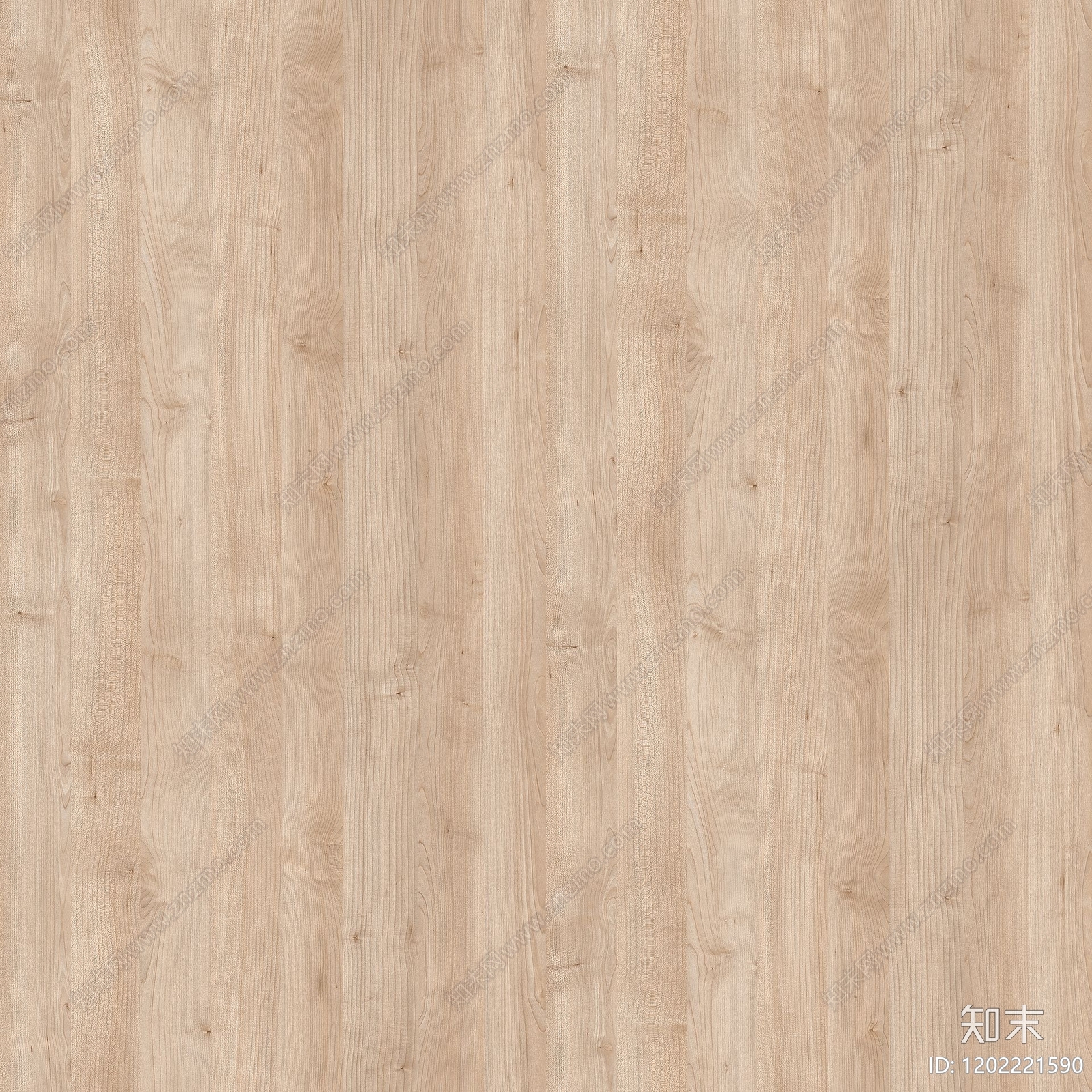 侘寂北欧枫木贴图下载【ID:1202221590】