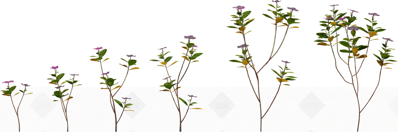 花3D模型下载【ID:1202341035】