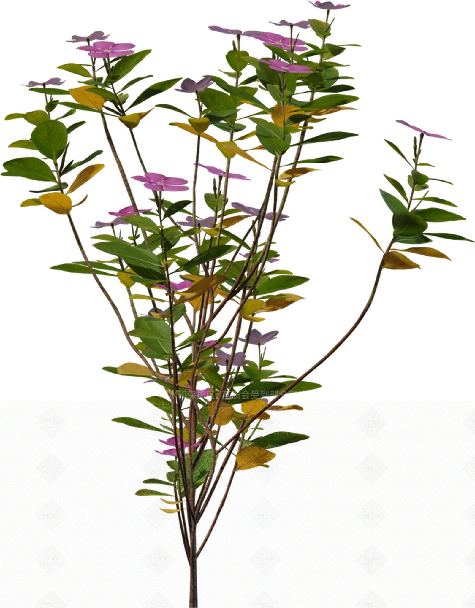 花3D模型下载【ID:1202341035】